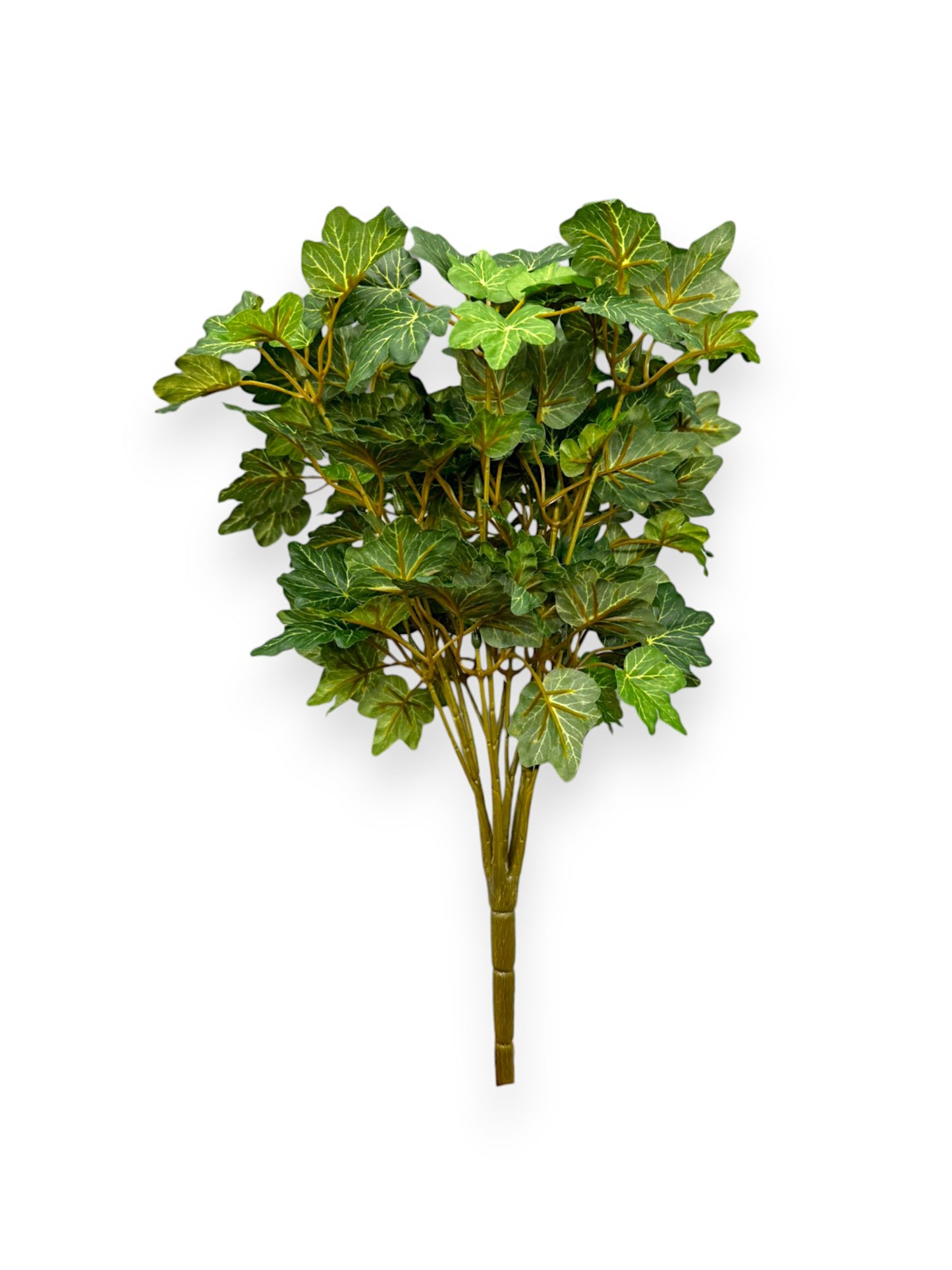 ENGLISH IVY BUSH 18"