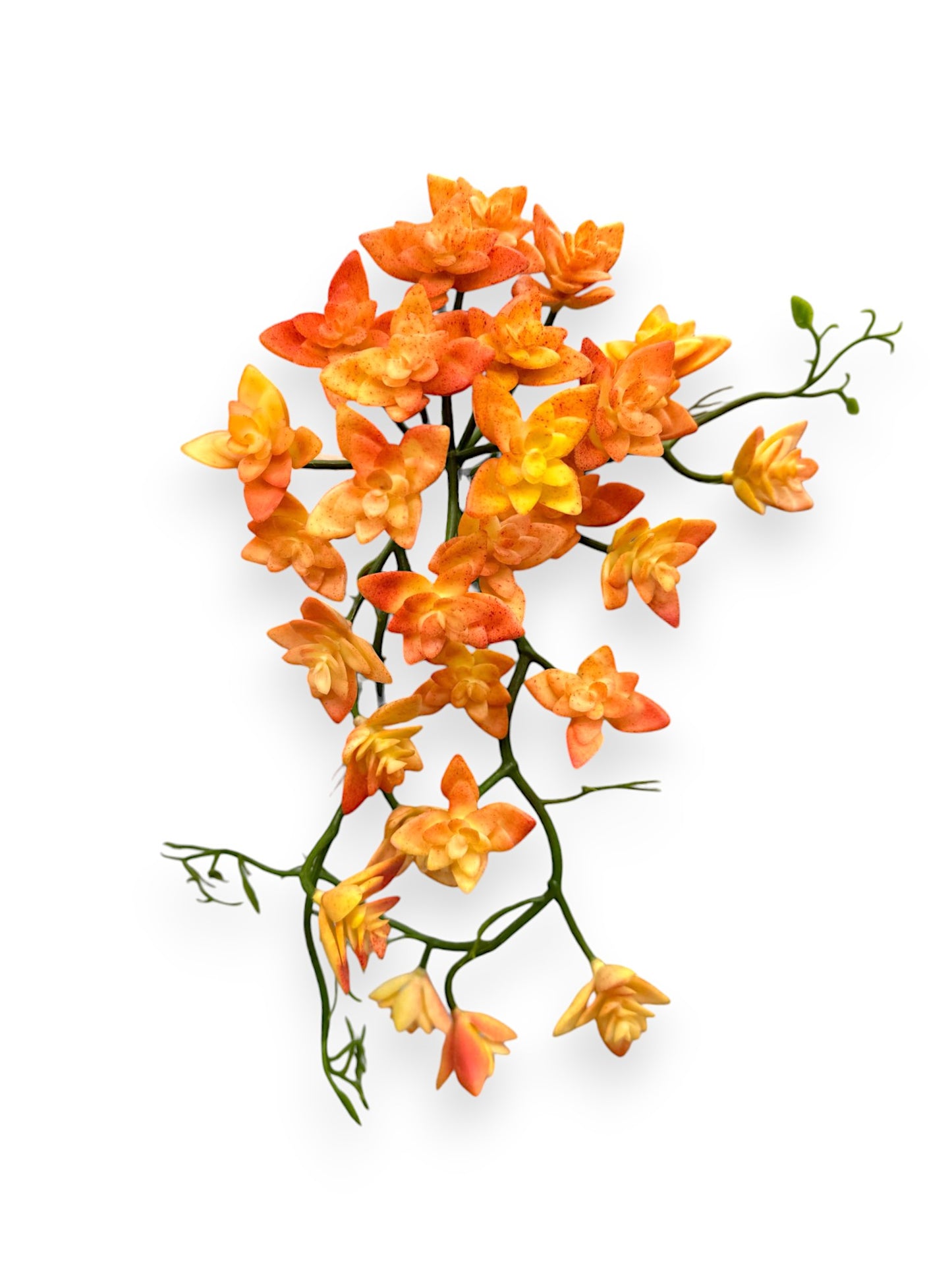 HANGING ORANGE SUCCULENT 15"