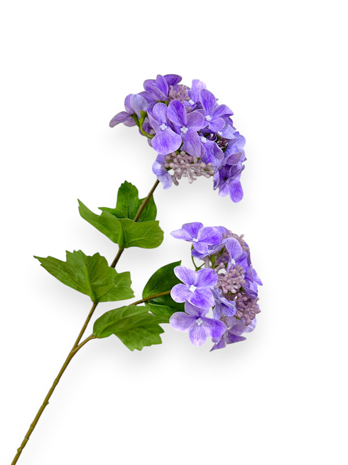 HYDRANGEA SPRAYX2 20"