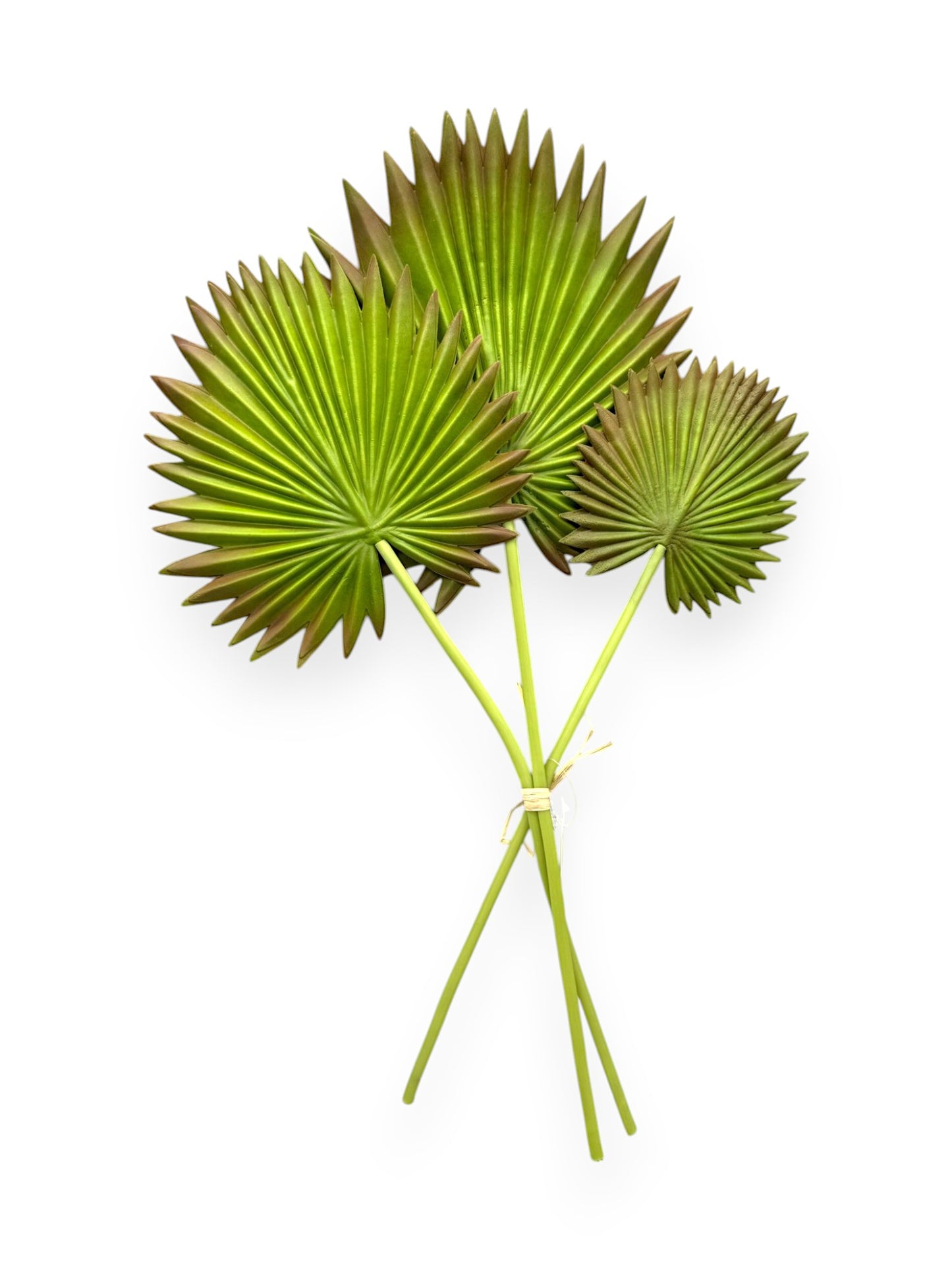 PALM LEAF BUNDLE X3