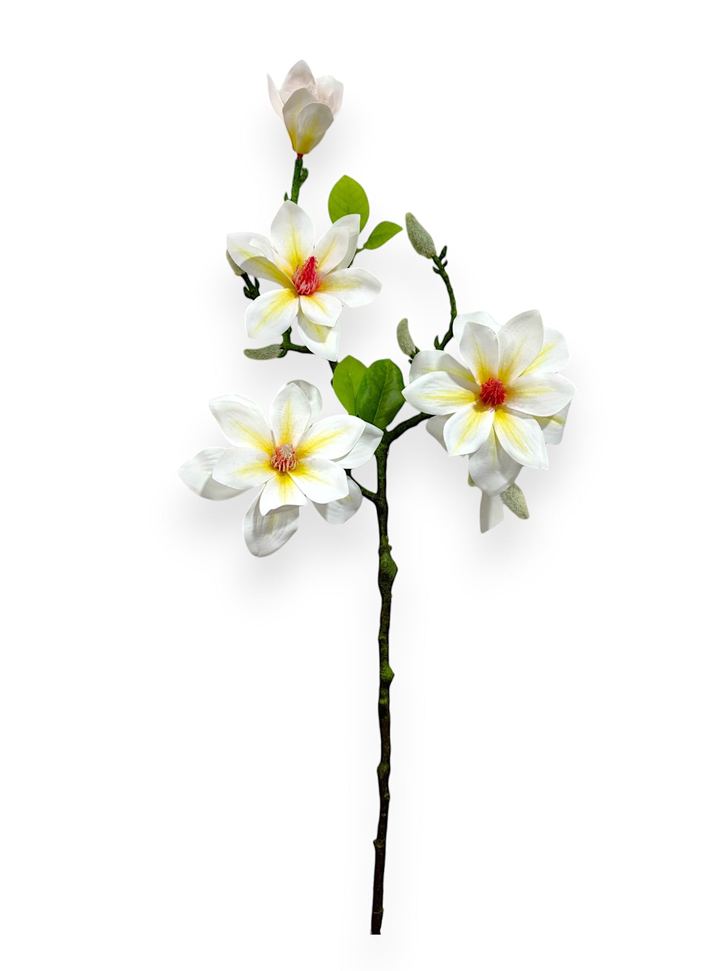 MAGNOLIA STEM 23"