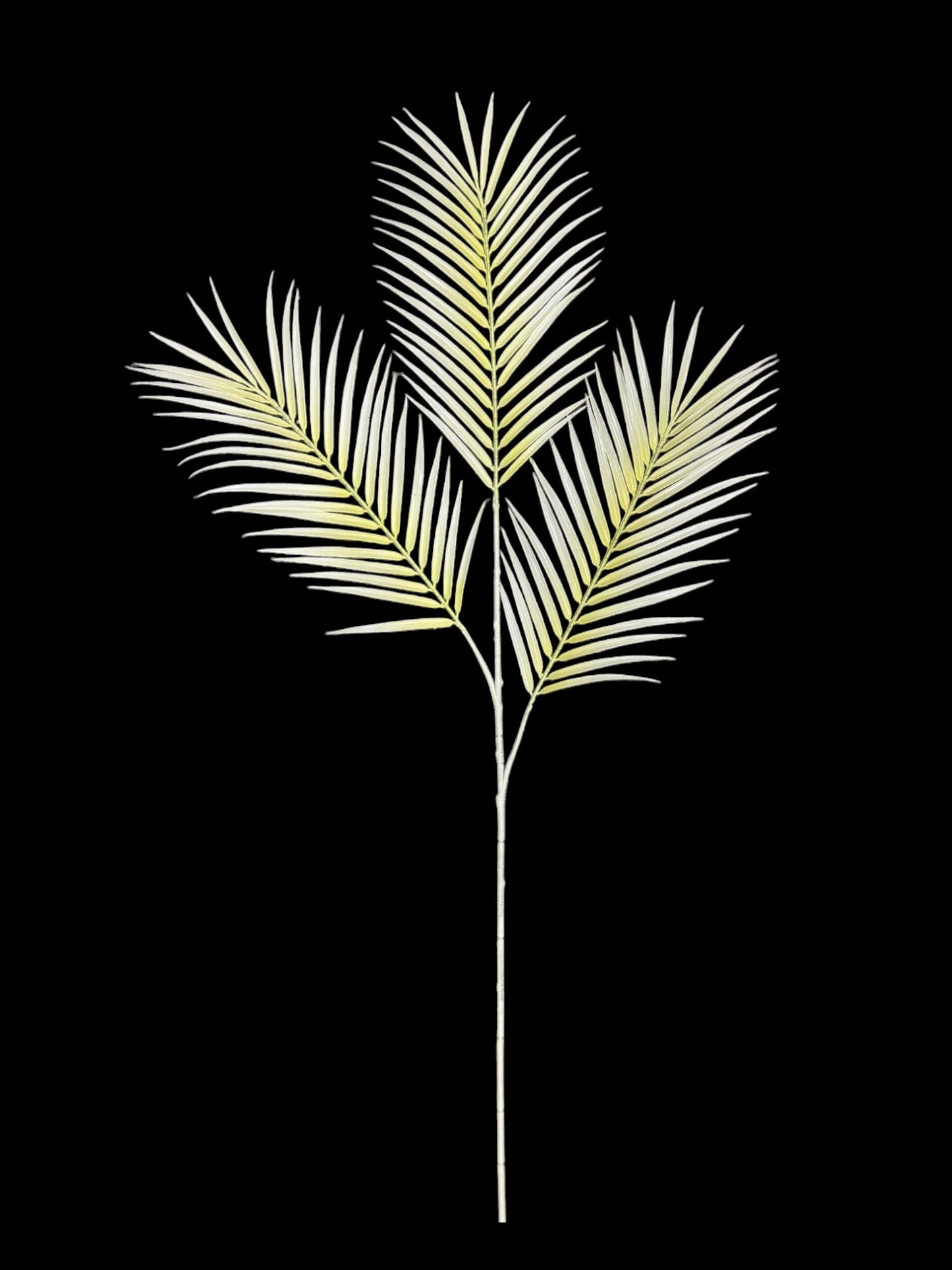 PALM LEAF X3 39"