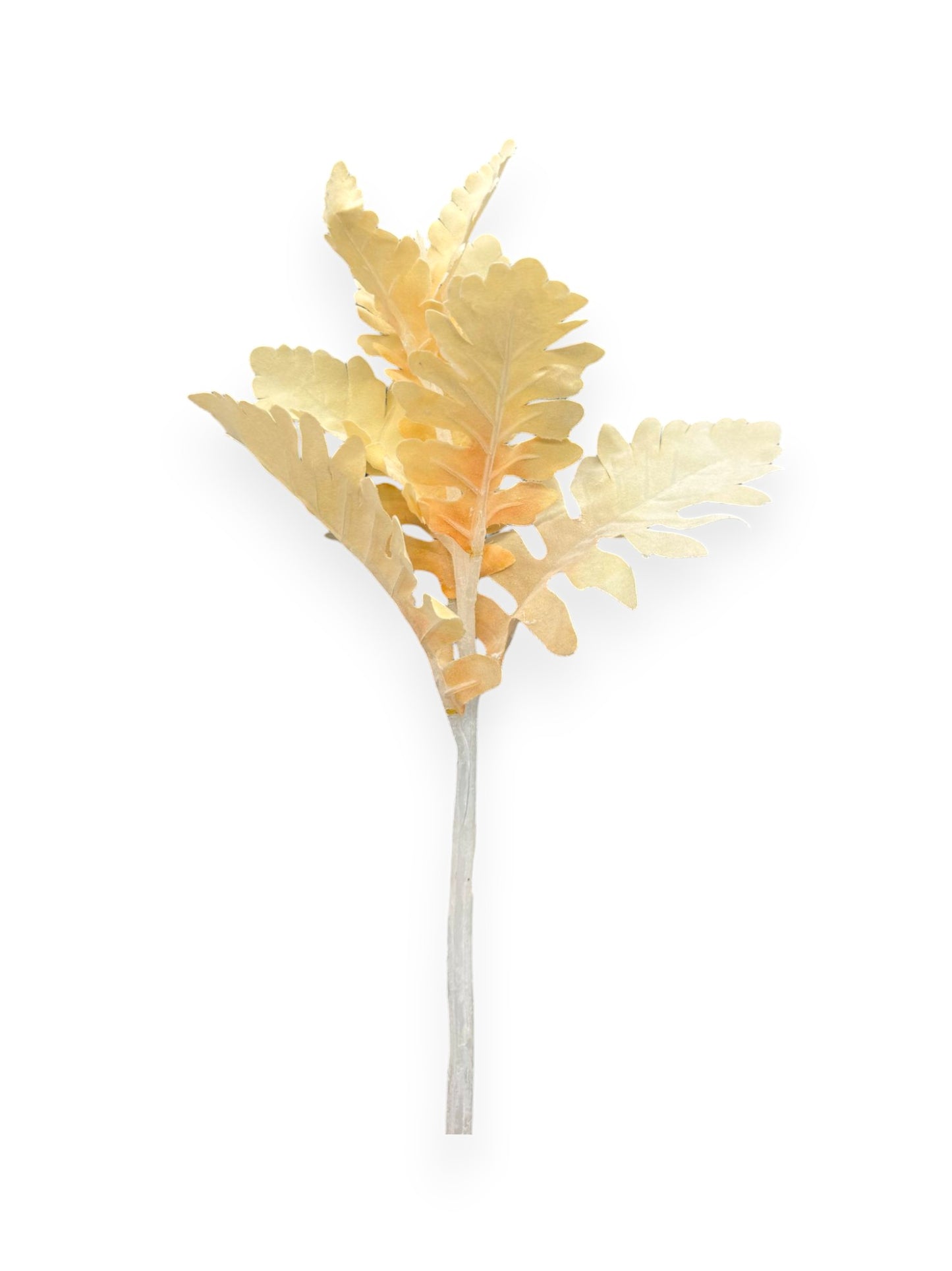 DUSTY MILLER STEM 12"