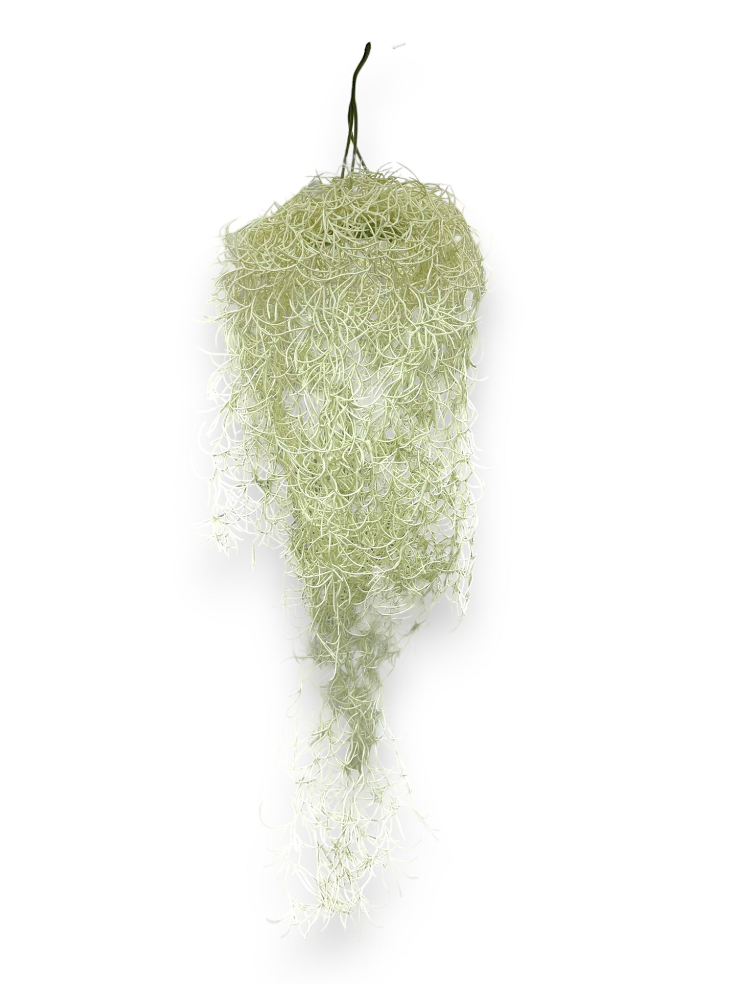 HANGING MOSS 25"