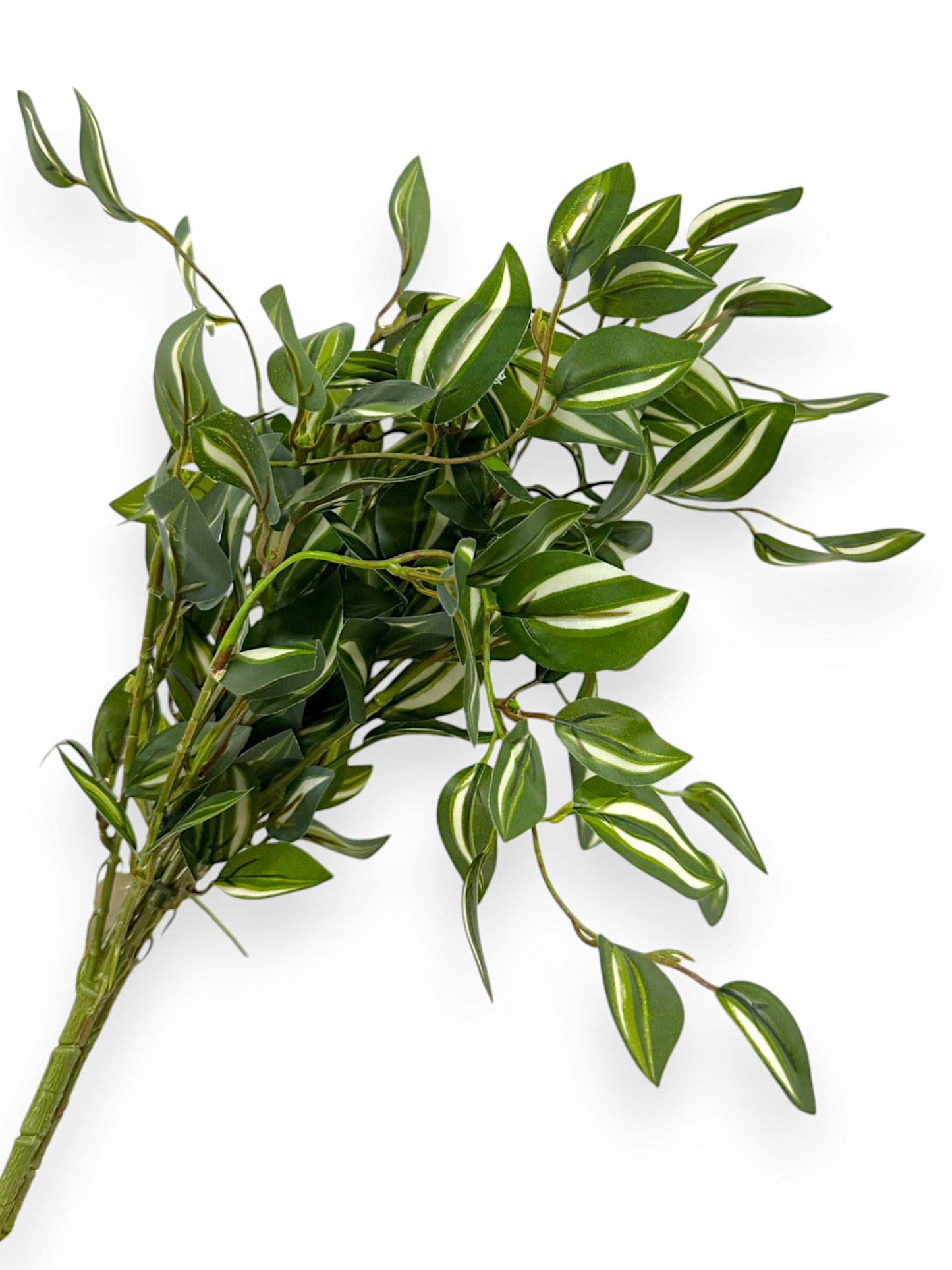 TRADESCANTIA BUSH 2PCS