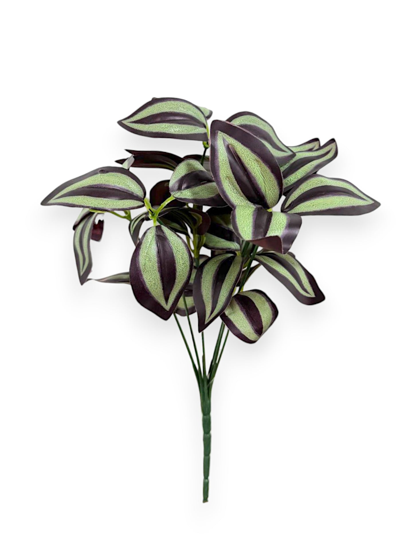 TRADESCANTIA BUSH 12"