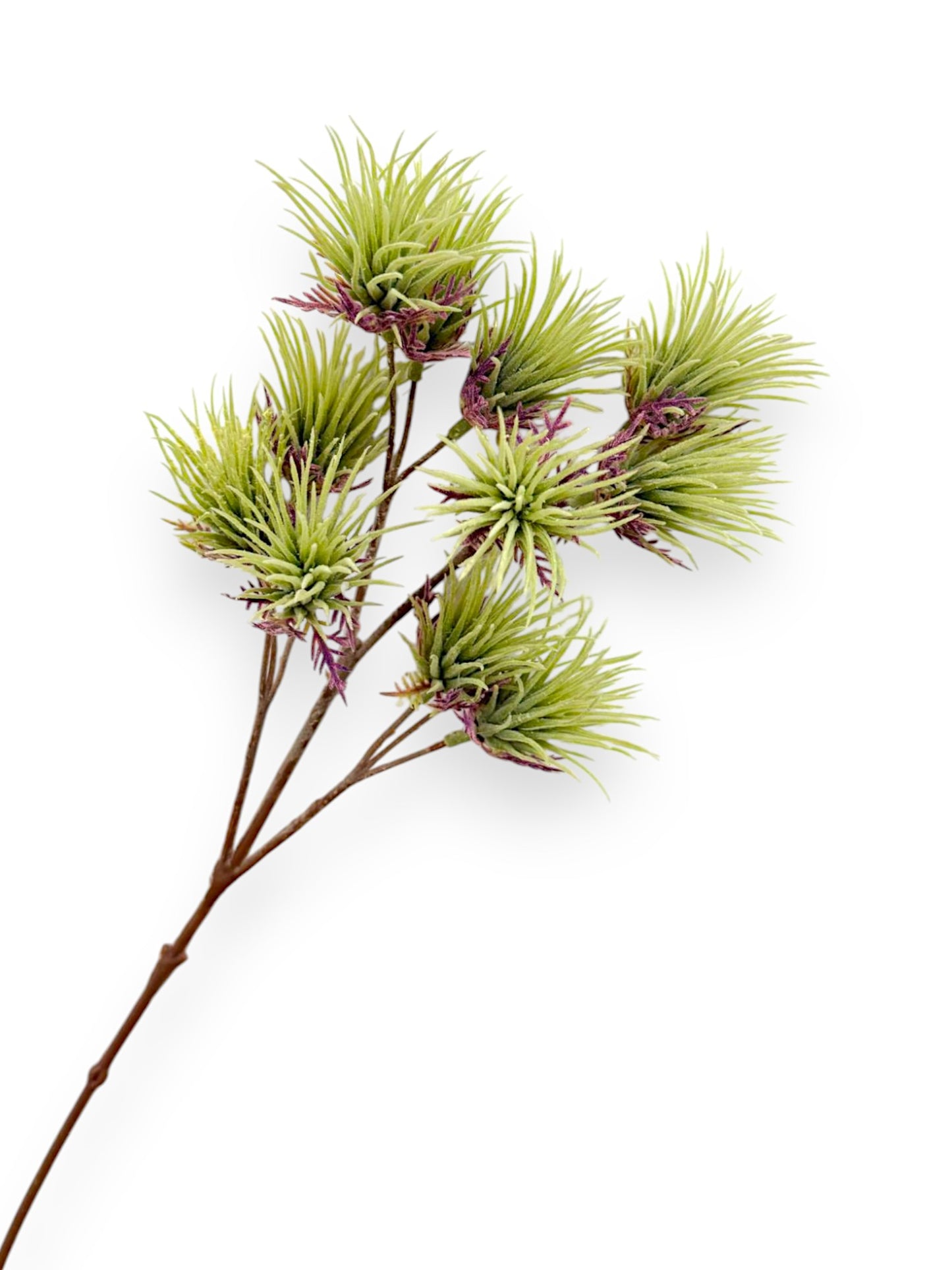 TILLANDSIA SPRAY 20"