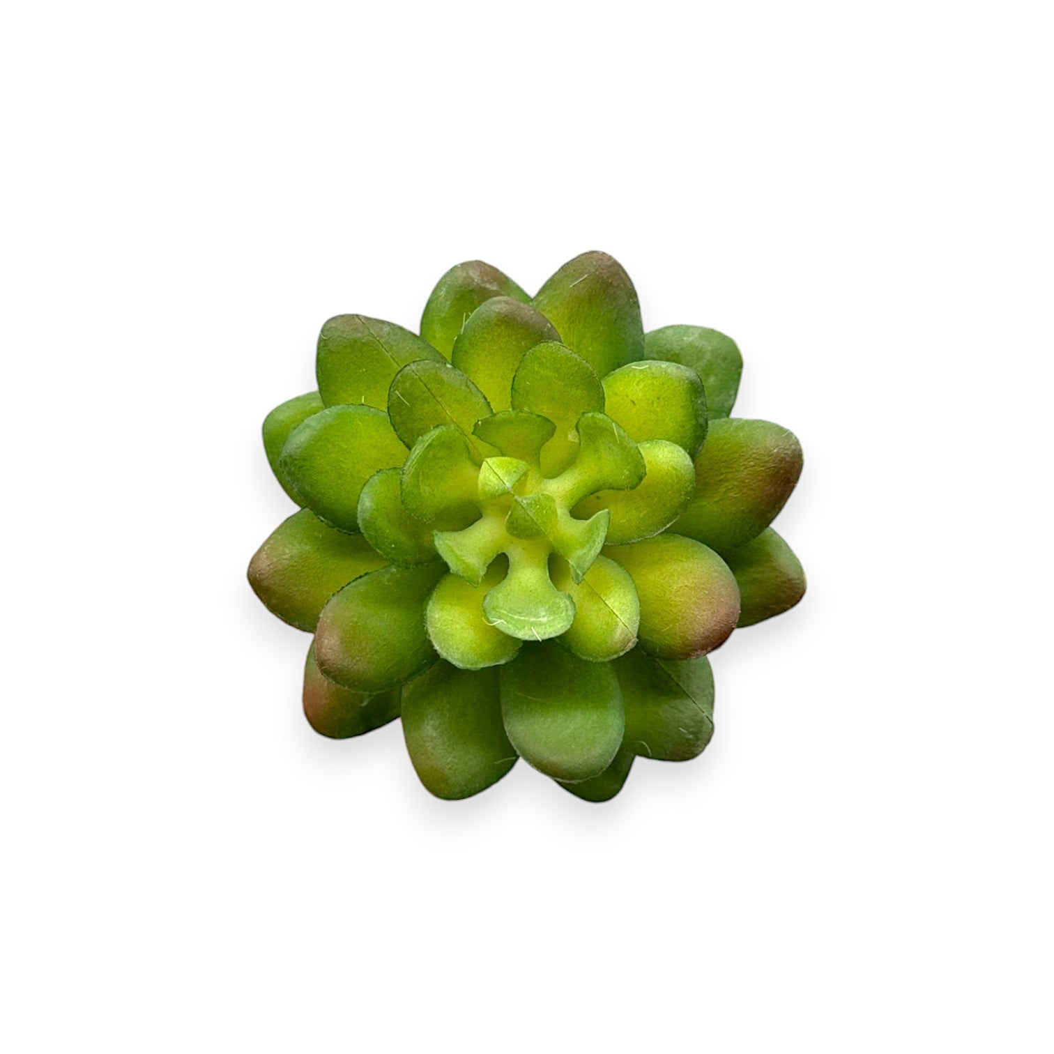 artificial succulent picks SUCCULENT PICK 2.5" – Chan's Silk Flowers, inc