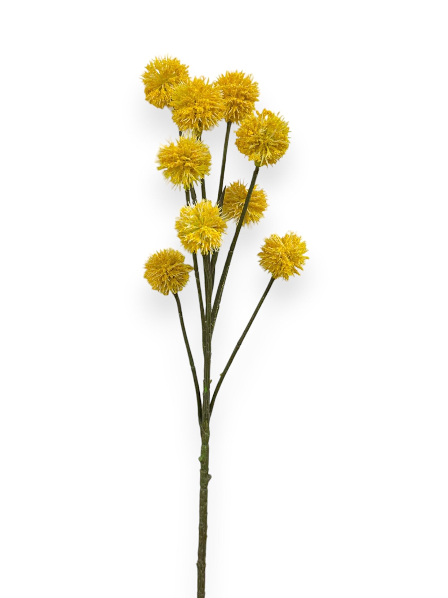 BILLY BUTTON SPRAY 49CM