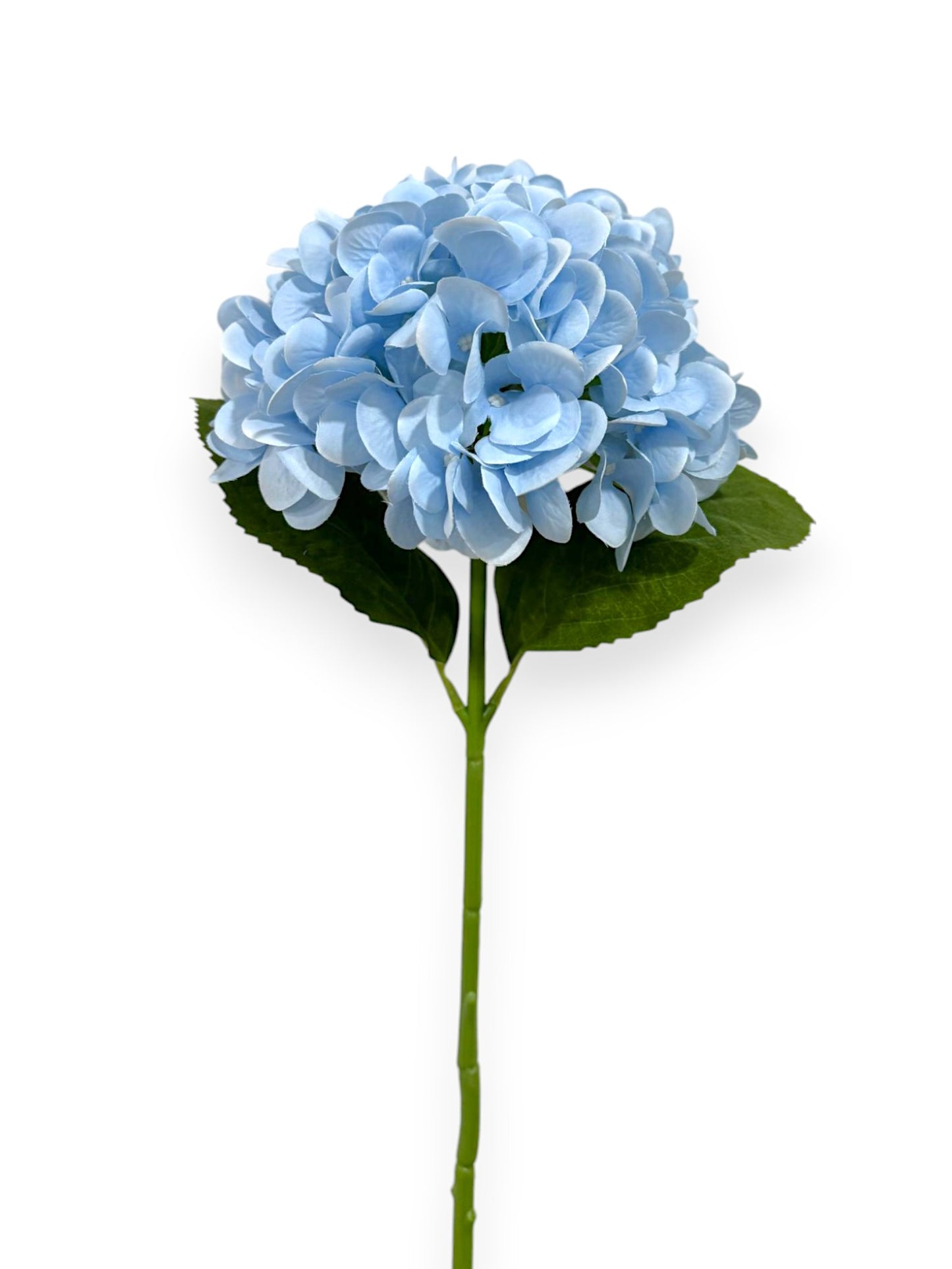 HYDRANGEA 7"BLOOM 2LV