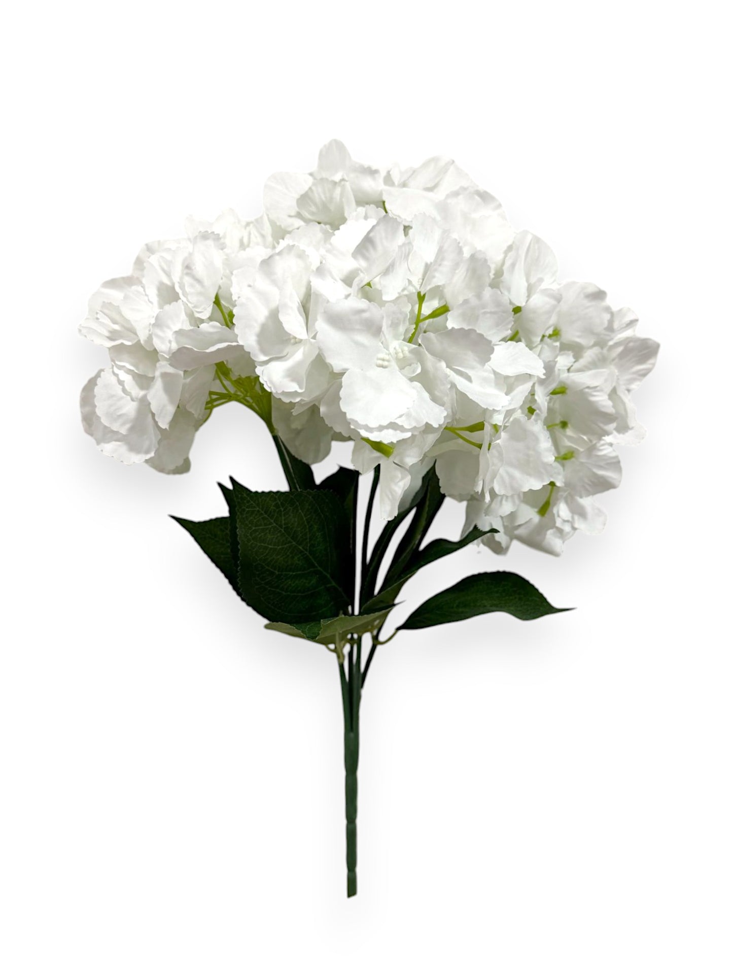 HYDRANGEA BUSH WHITE