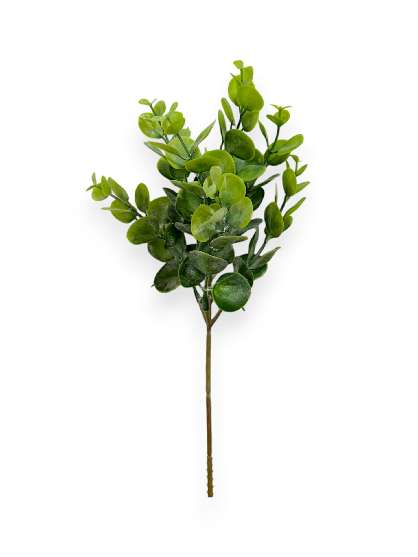 EUCALYPTUS PICK 29CM