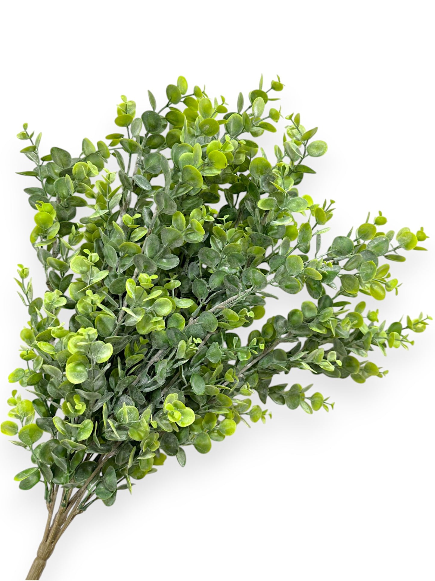 EUCALYPTUS BUSH 62CM