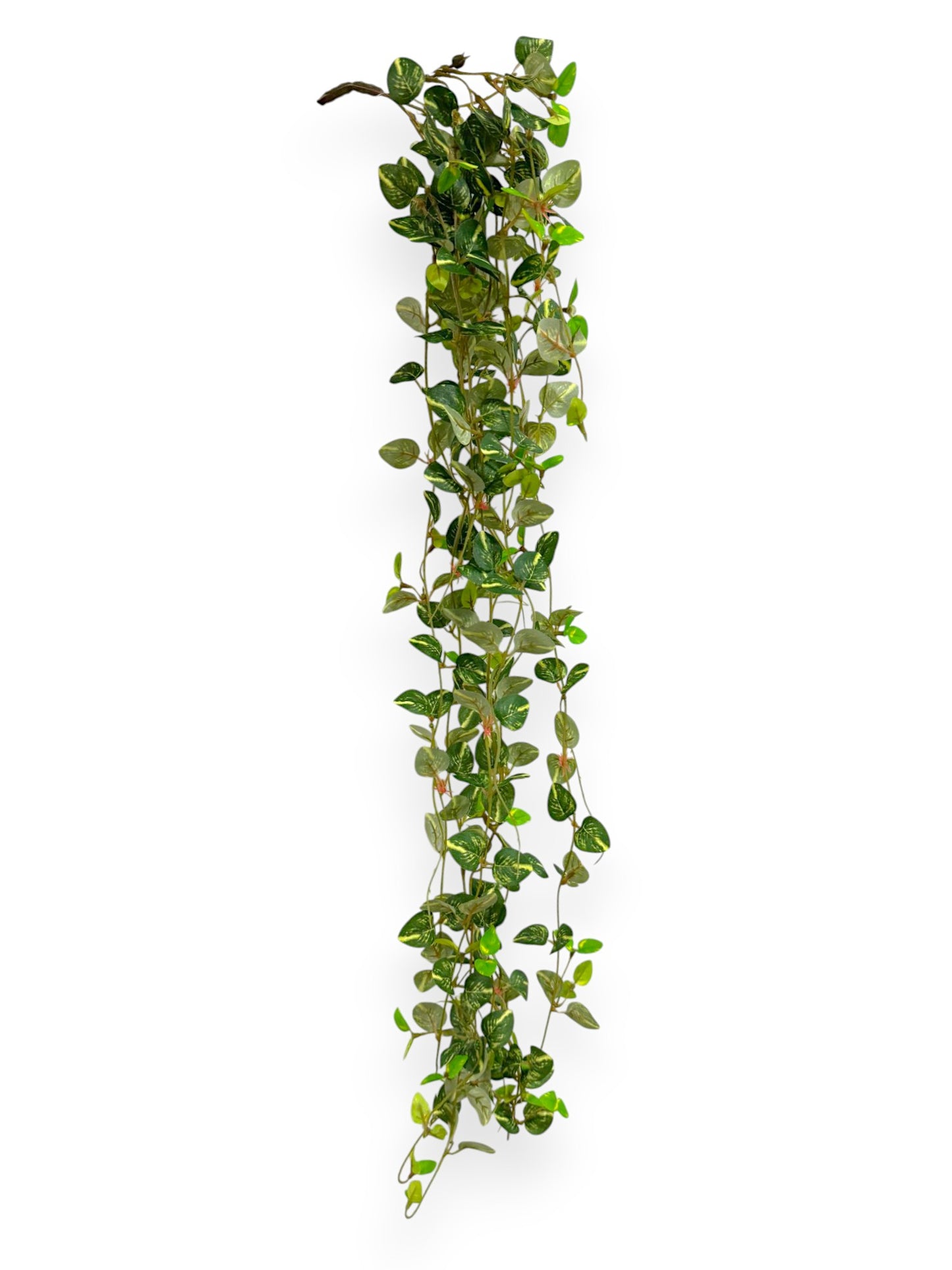 HANGING GREEN VINE 29"