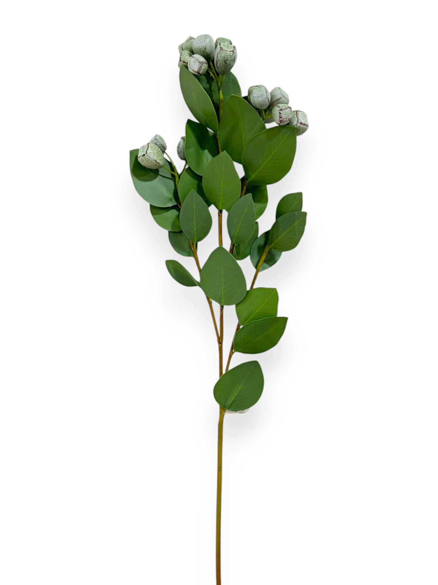 EUCALYPTUS SPRW/FRUIT 29"