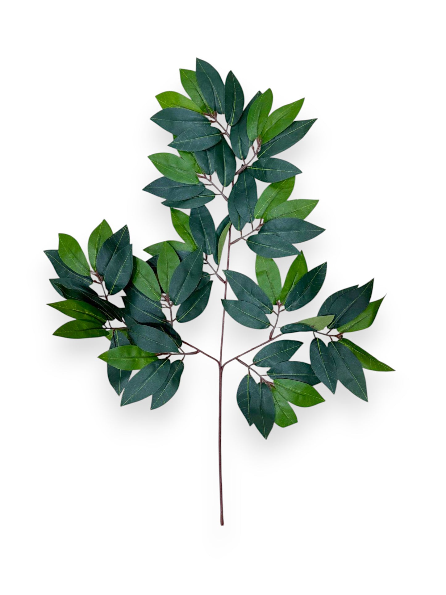 LAICHI LEAF 12PCS 25"