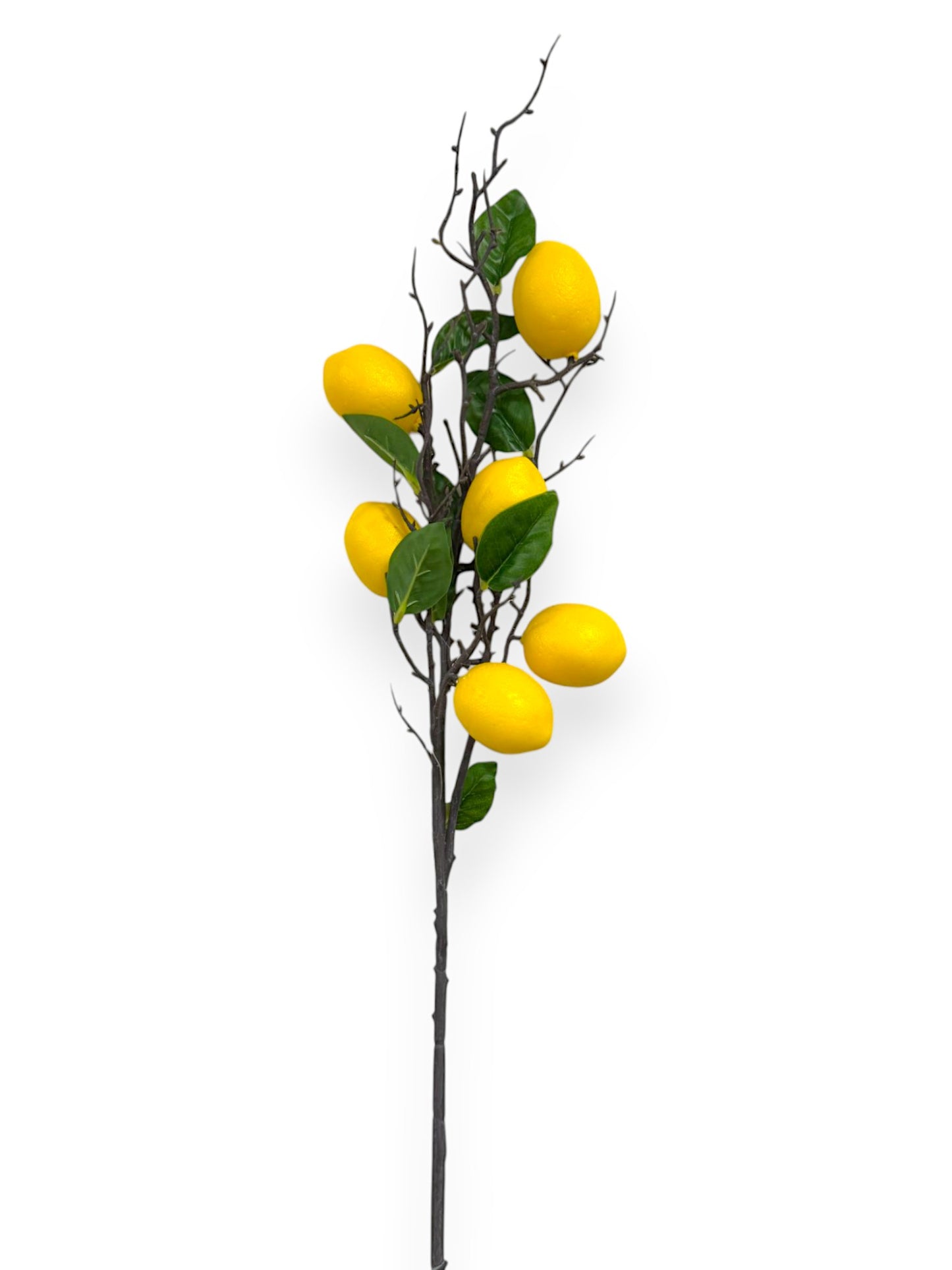 LEMON SPRAY 80CM
