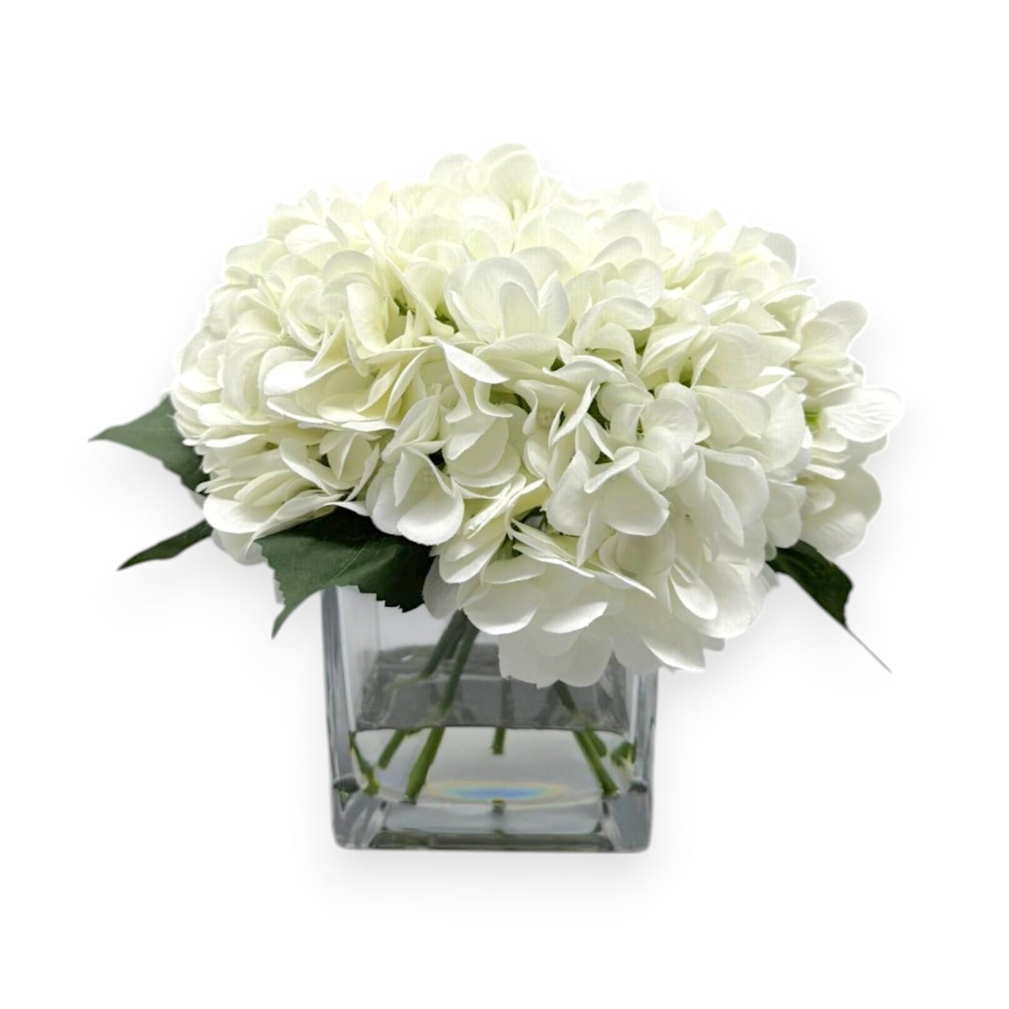 HYDRANGEA IN GLASS 10"