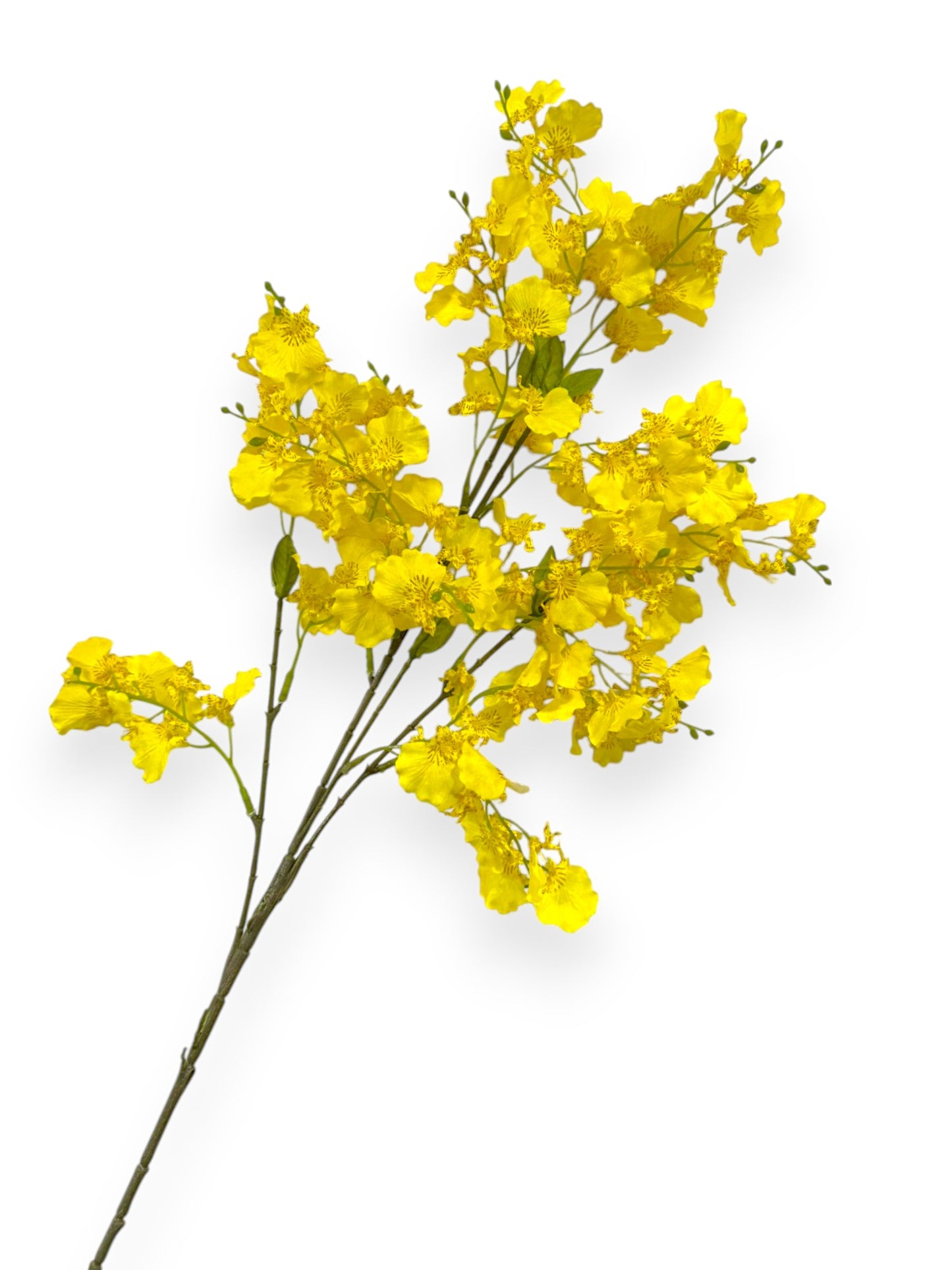 DANCING ORCHID S 33"