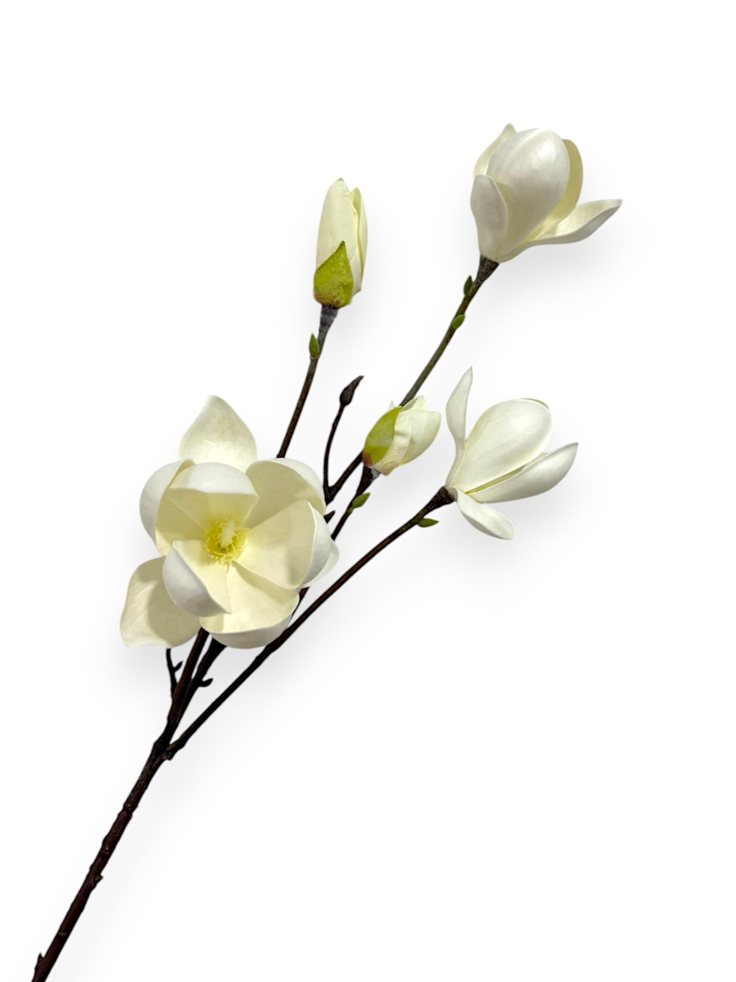 MAGNOLIA TREE SPR 28.5"