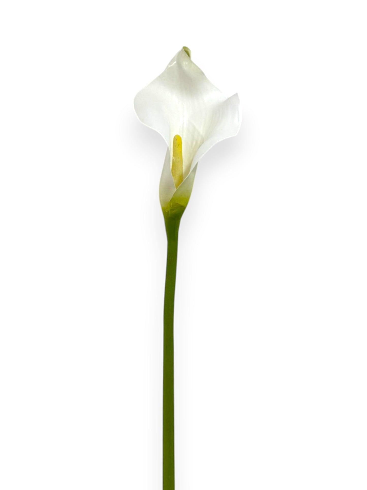 Calla Lily Stem 20"