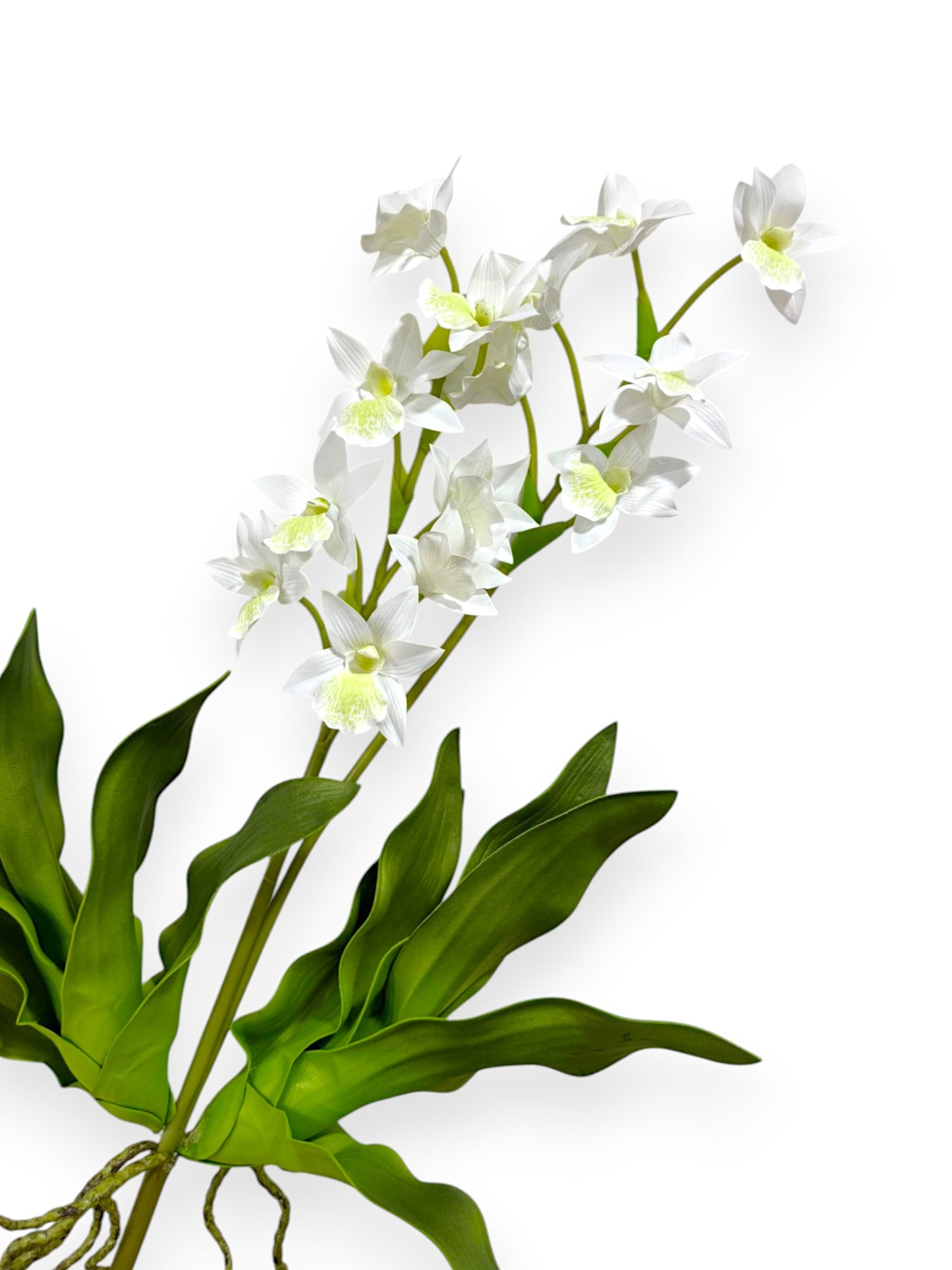 ORCHID DENDROBIUM 22"