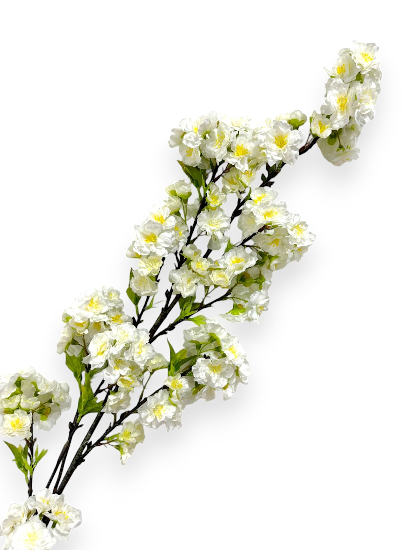 CHERRY BLOSSOM SPR 60"