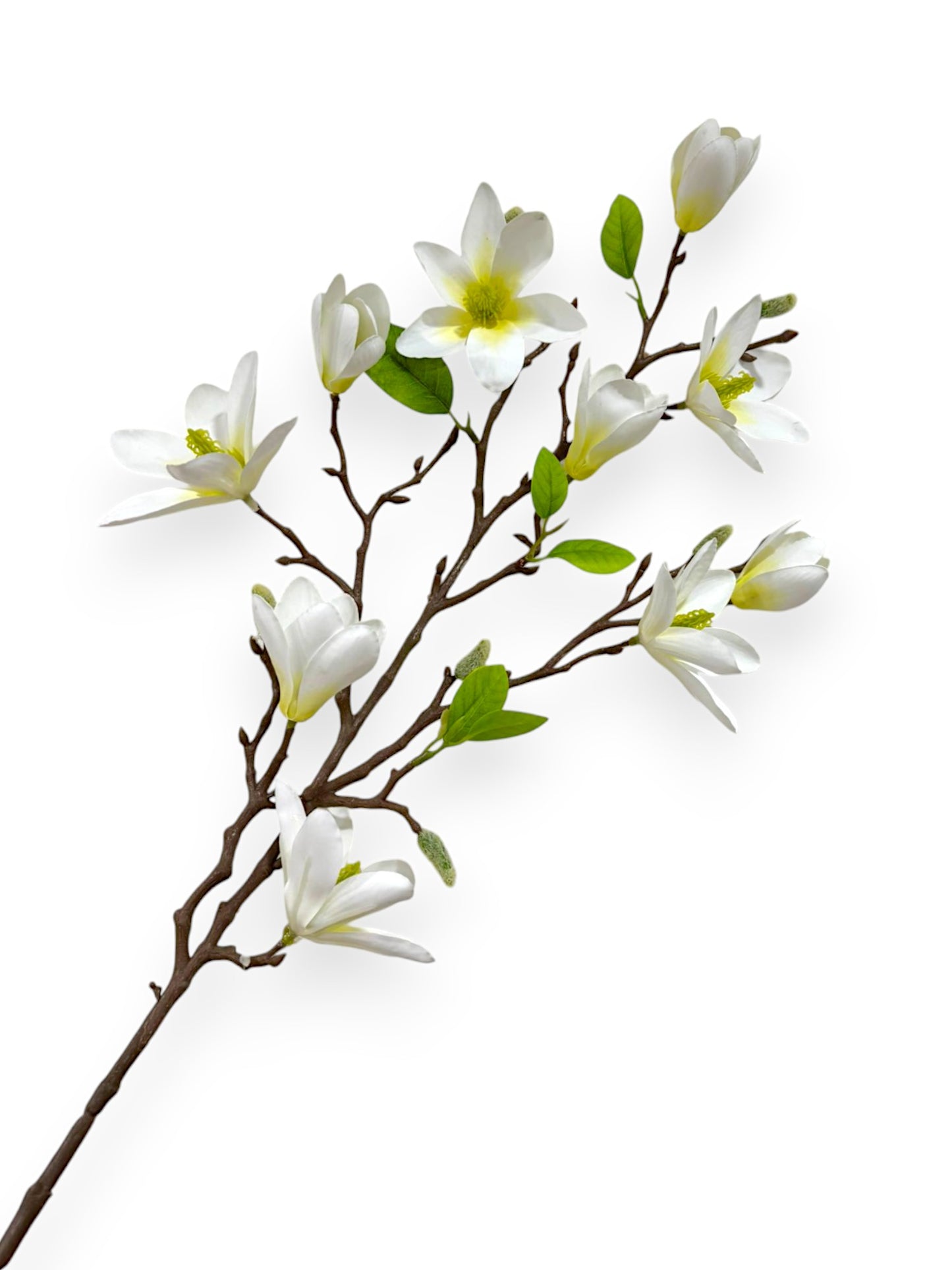 MAGNOLIA SPRAY 82CM