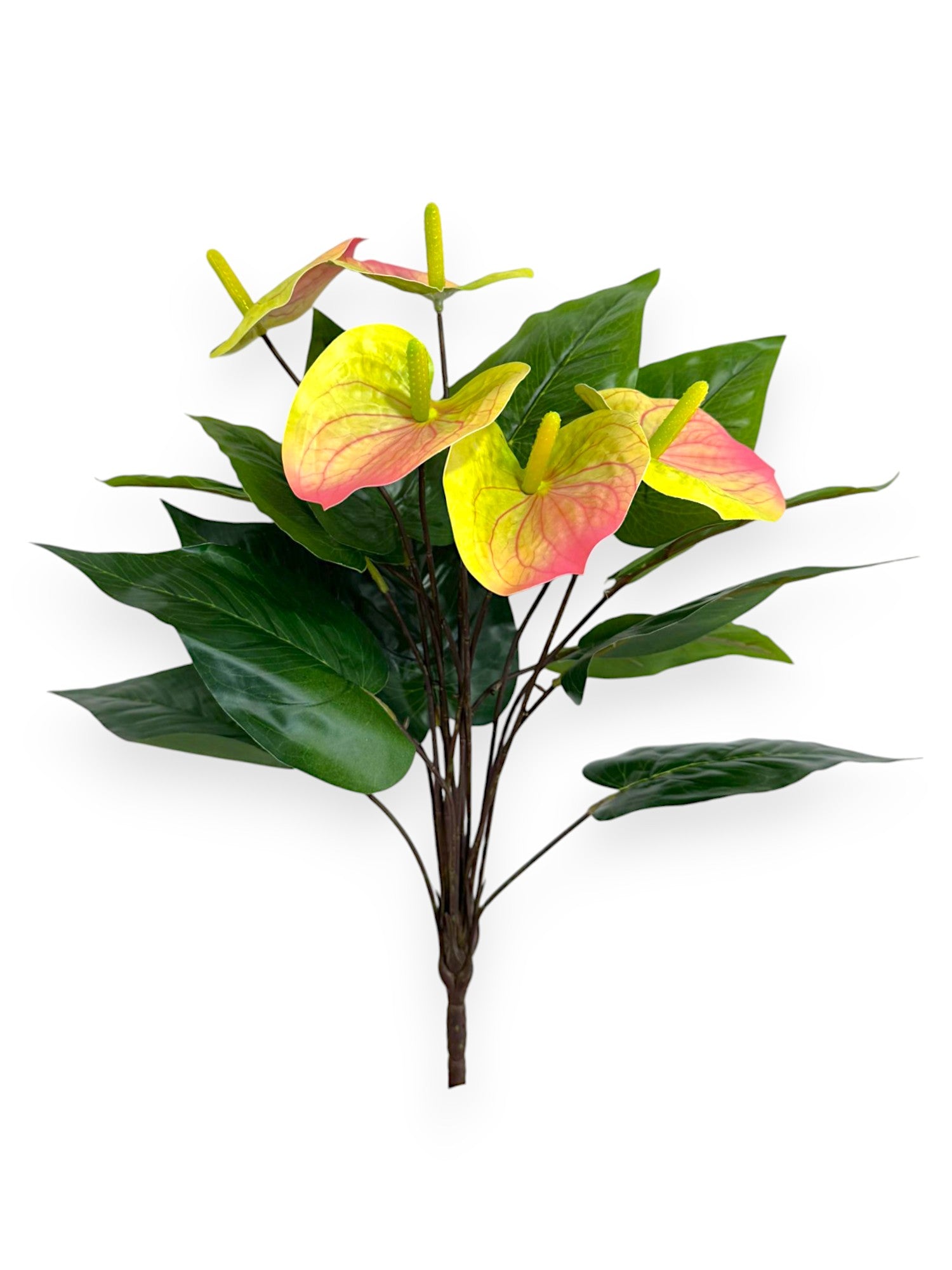 anthurium 5 ANTHURIUM PLANT X5 19" – Chan's Silk Flowers, inc