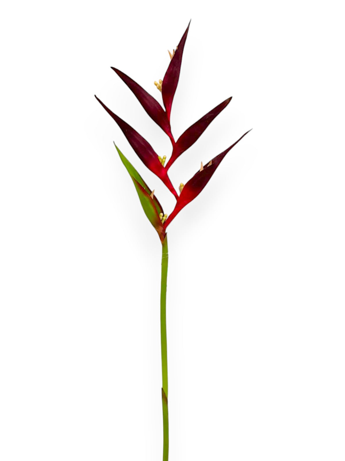 CRANE BANANAS MINIAT 32"