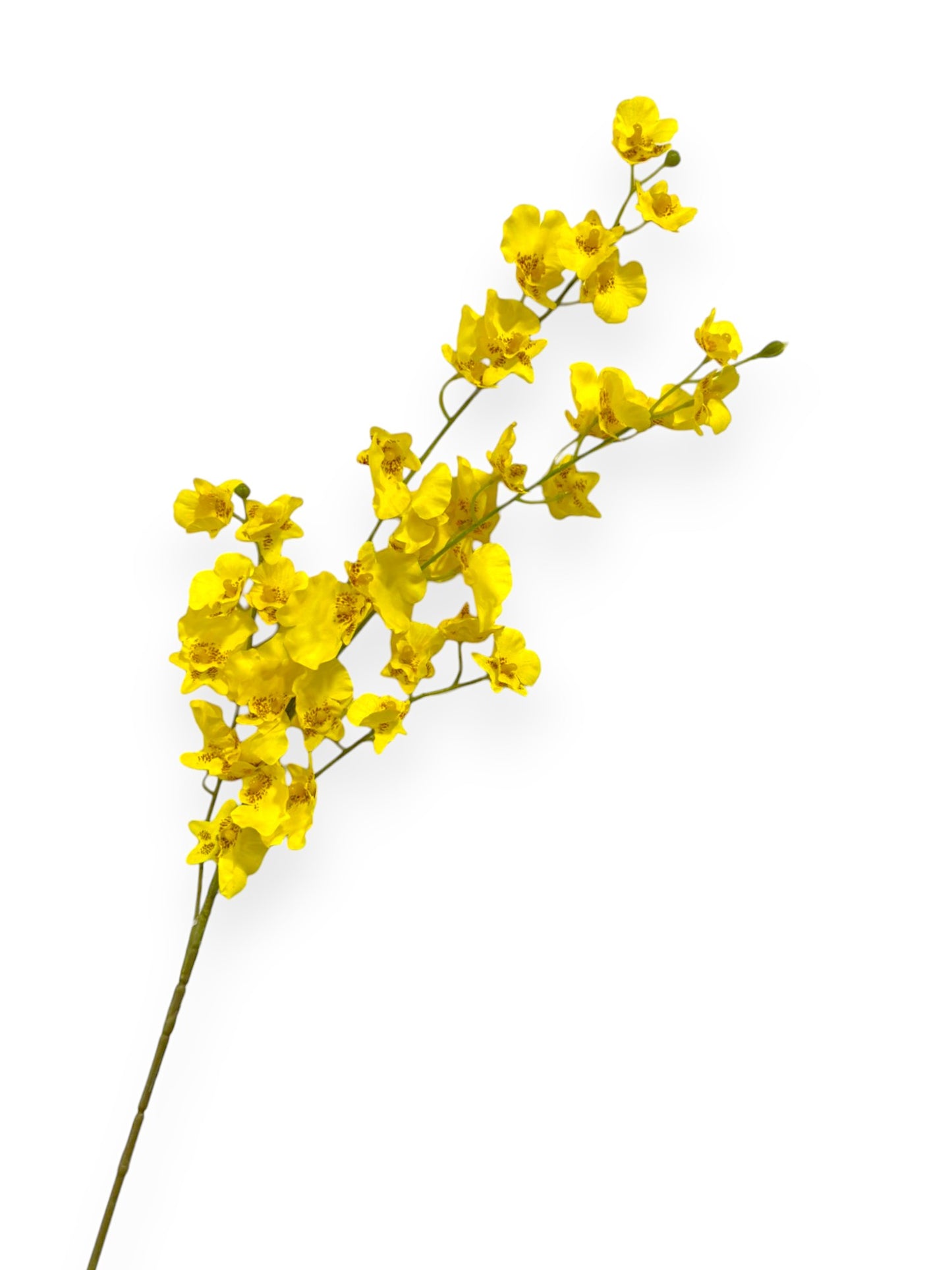 ONCIDIUM ORCHID 36"