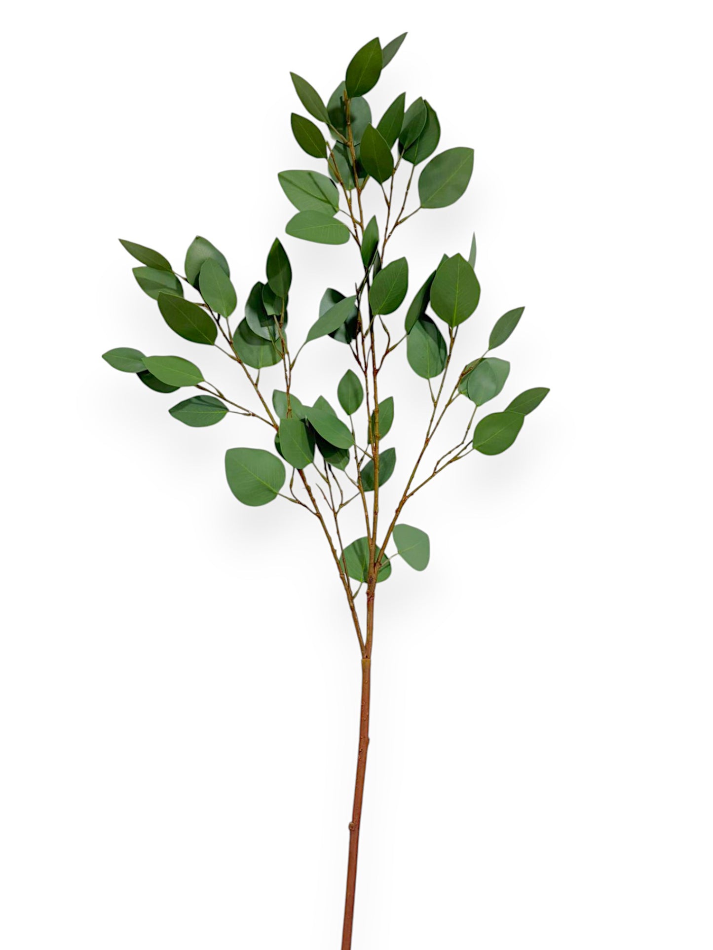 HEART EUCALYTUS STEM 42"