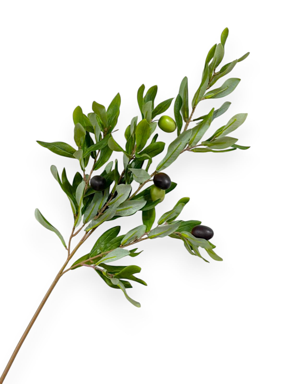 OLIVE BRANCH 32"