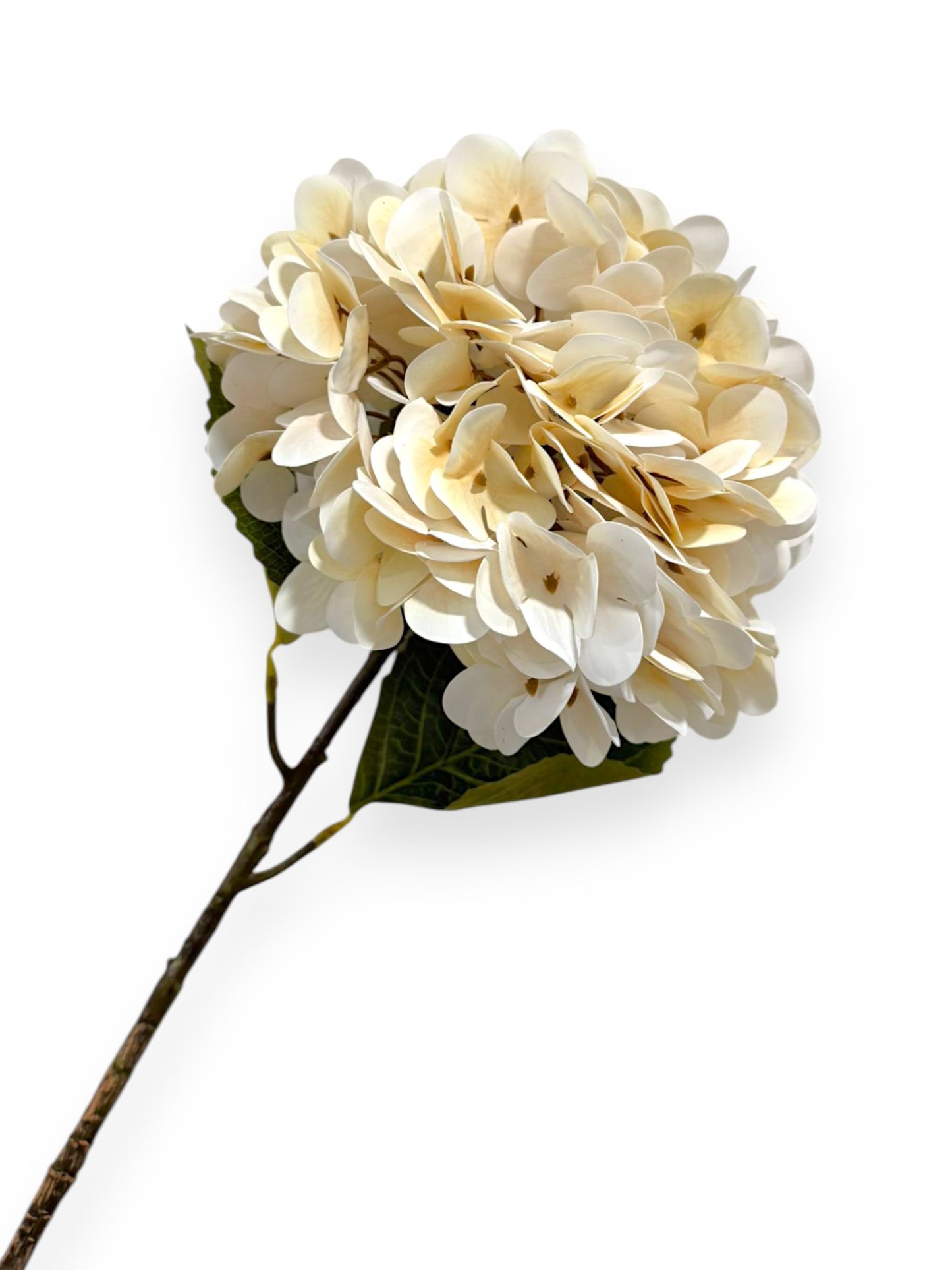 HYDRANGEA STEM 23" IV