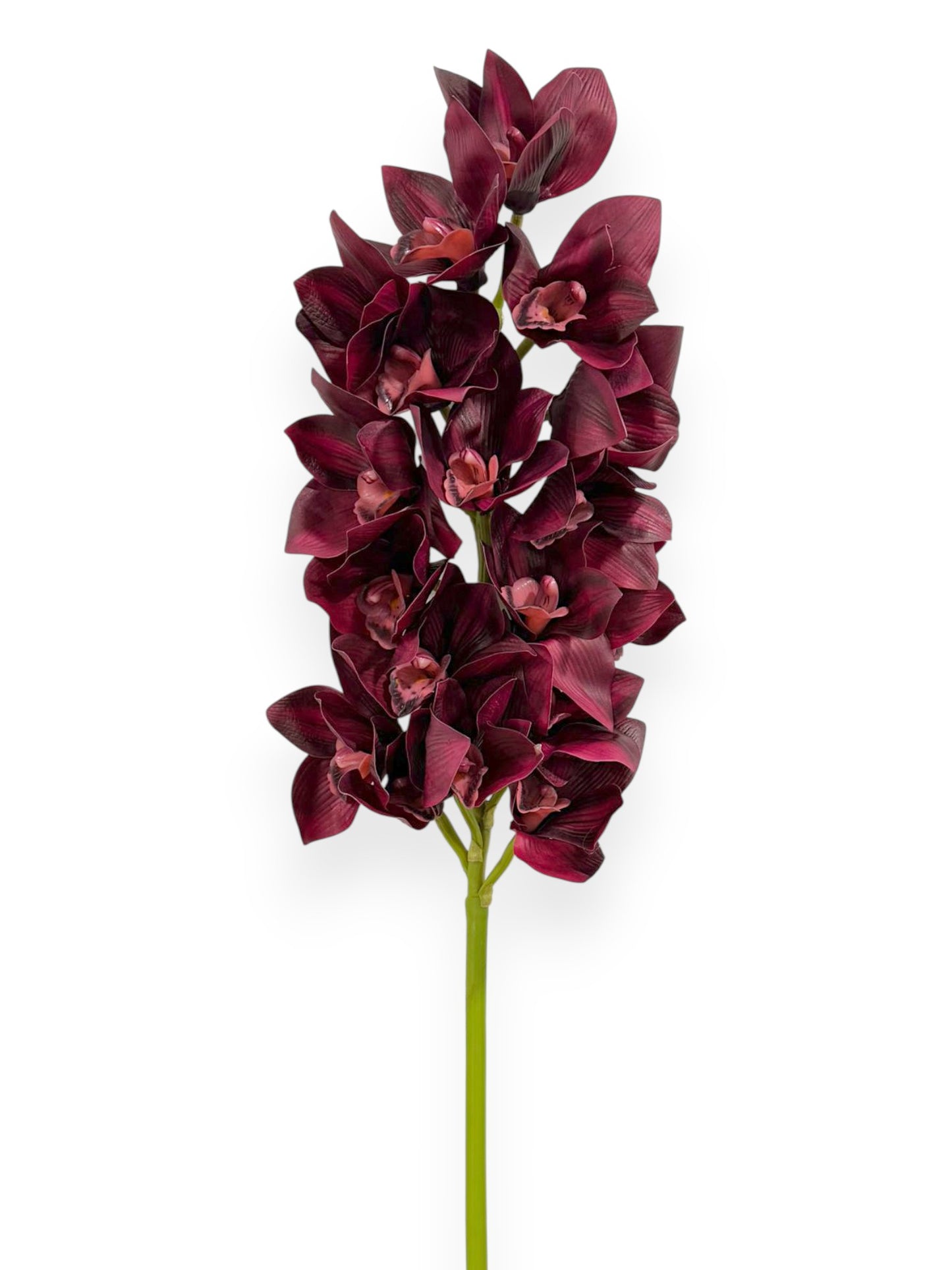 Cymbidium Orchid Stem 42"