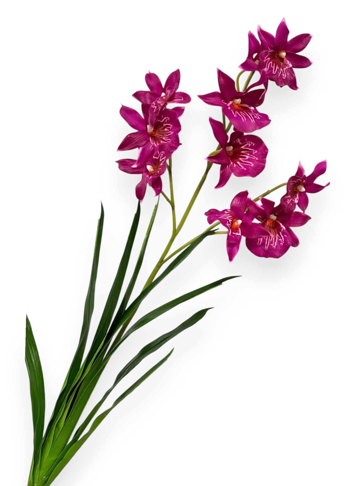 Cymbidium Orchid 30"