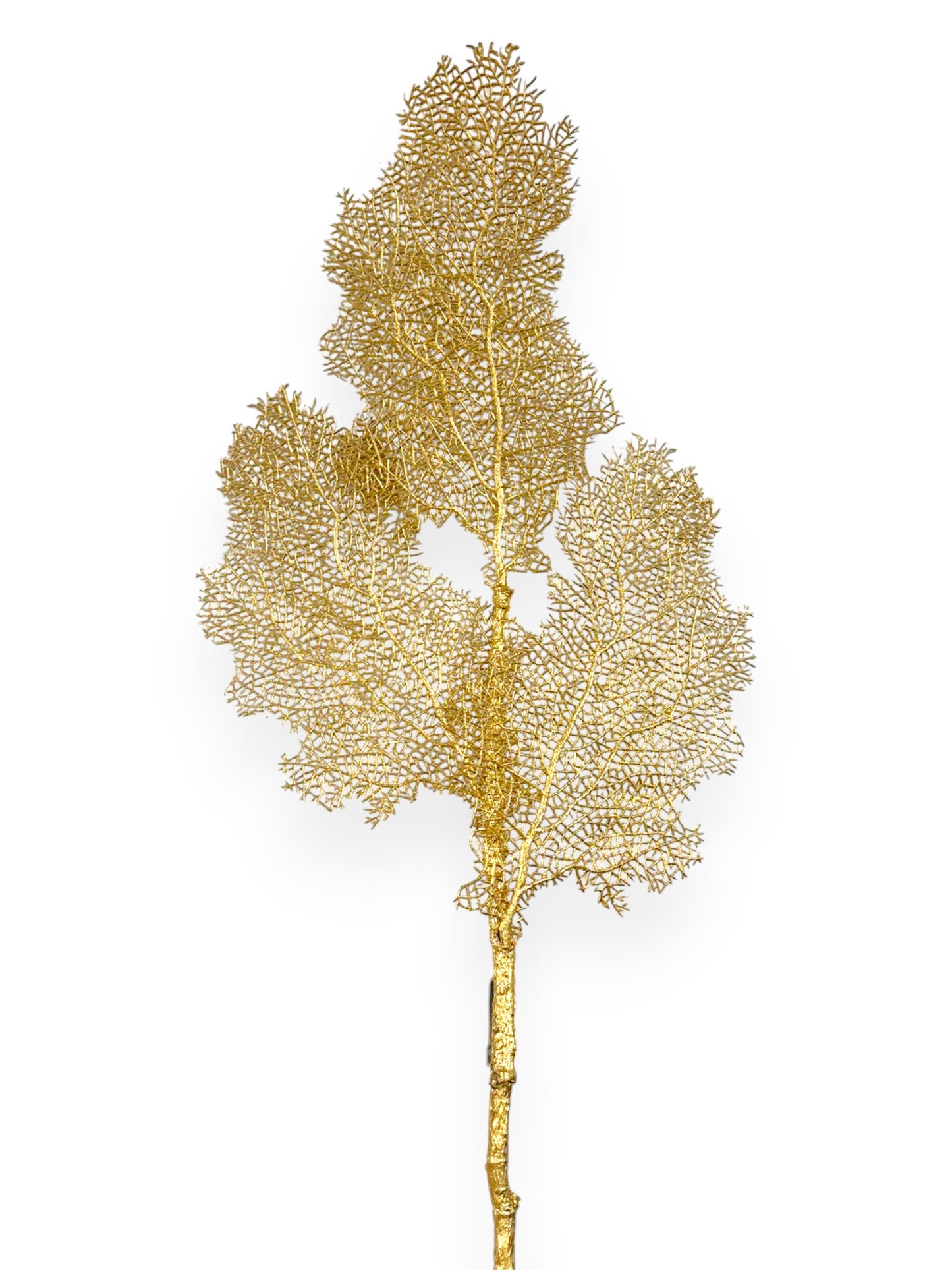 Metal Coral Spray 32"