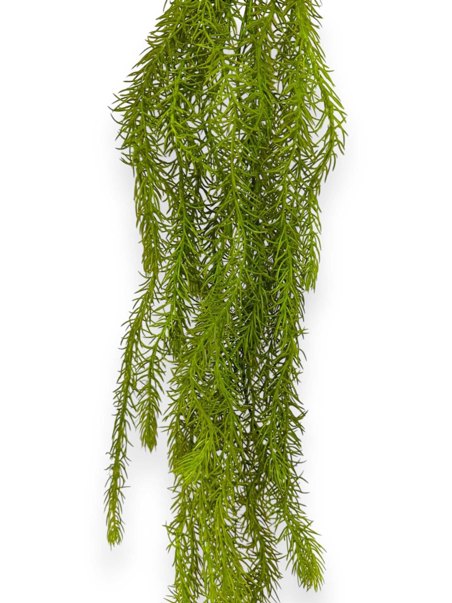 HANGING FERN 41"