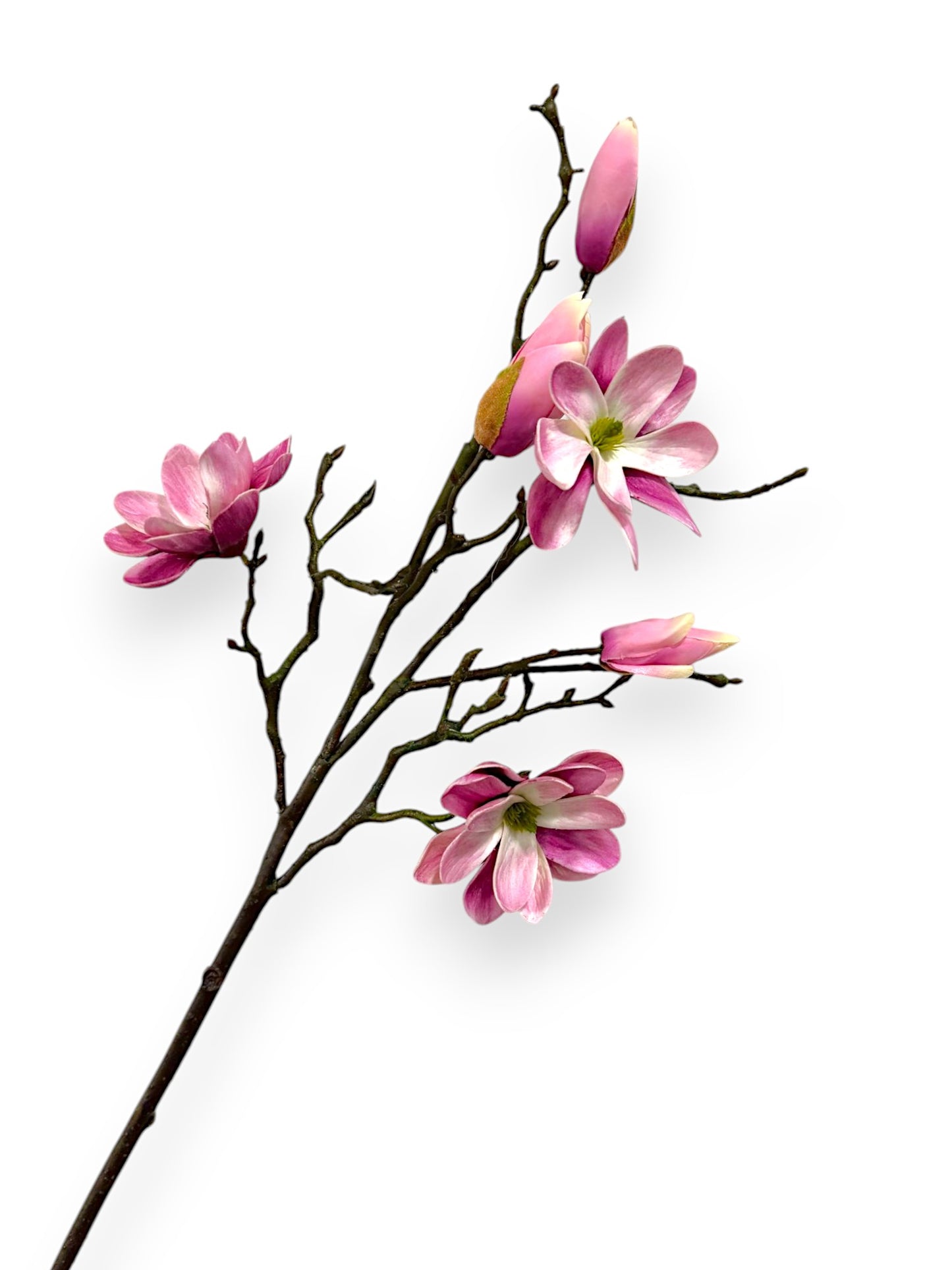 MAGNOLIA TREE SPRAY 30"