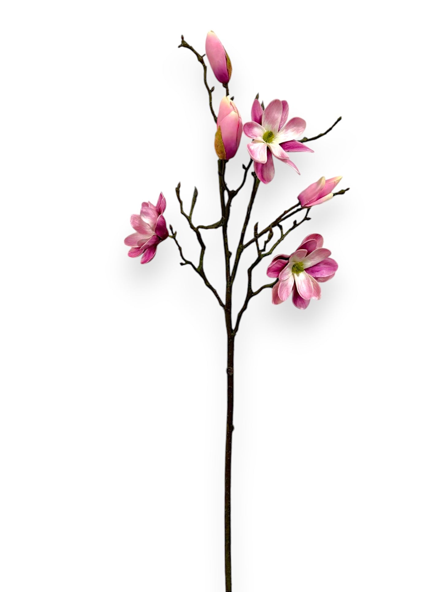 MAGNOLIA TREE SPRAY 30"