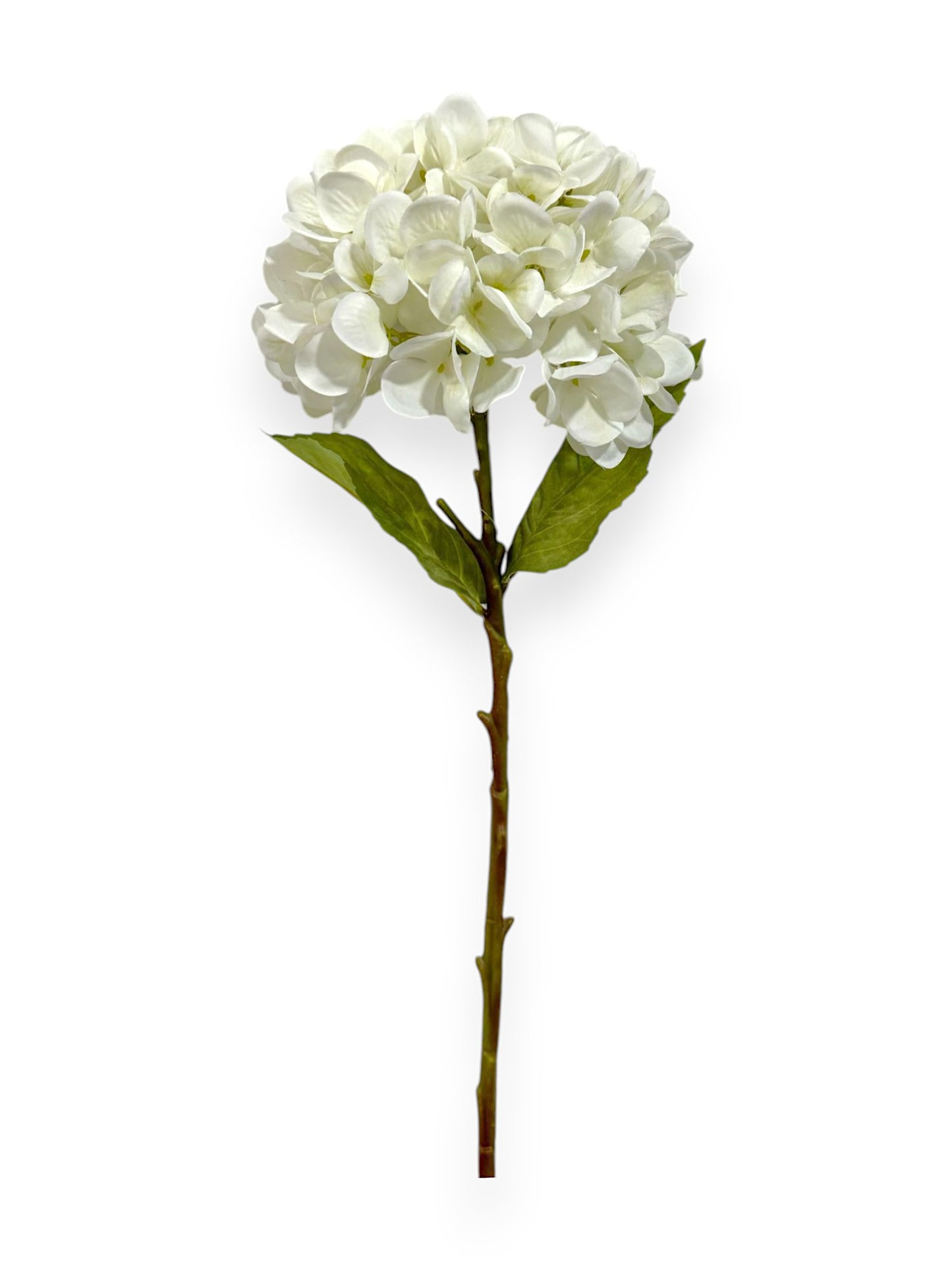 HYDRANGEA STEM 20"