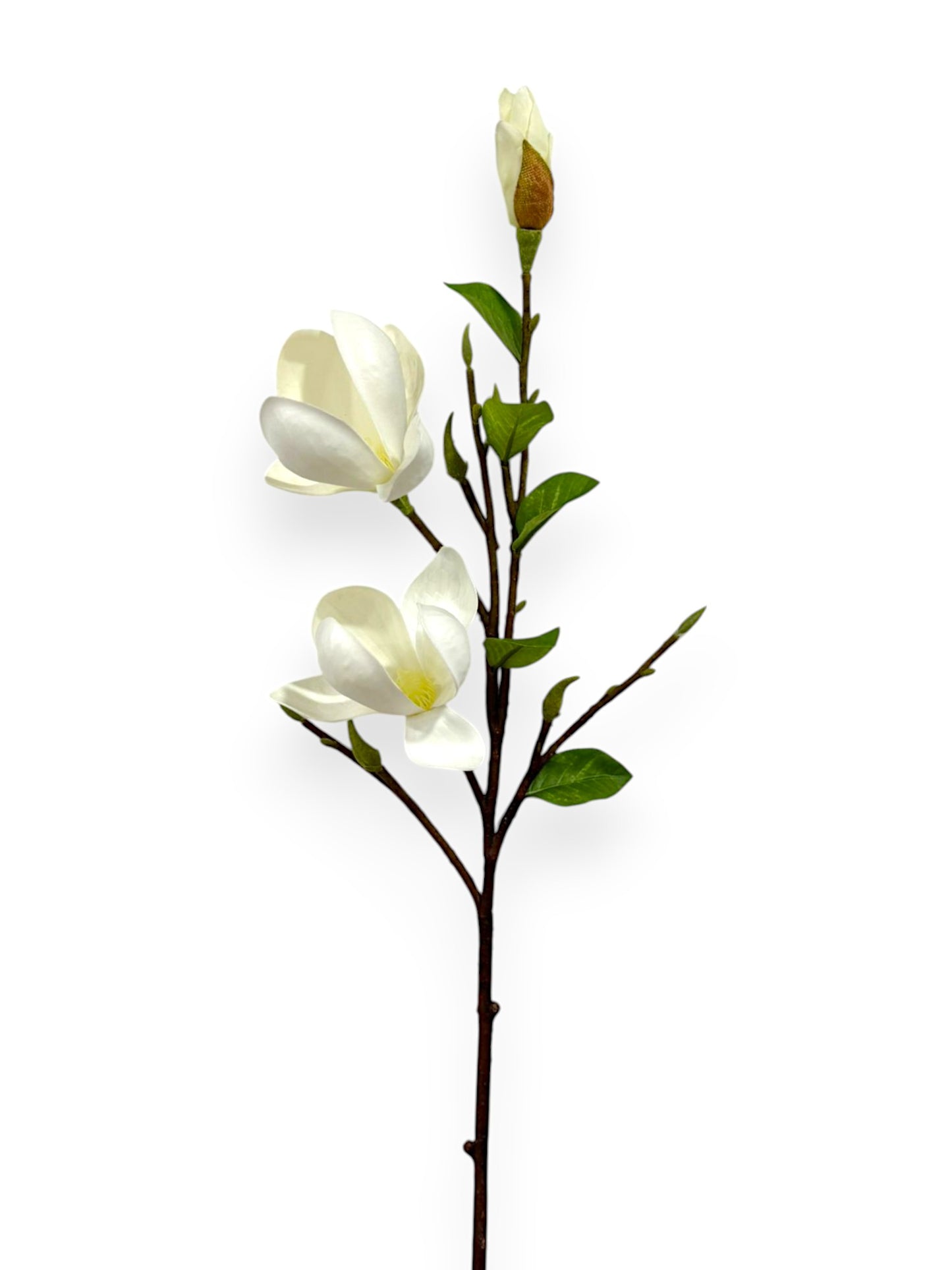 MAGNOLIA TREE PICK 24"