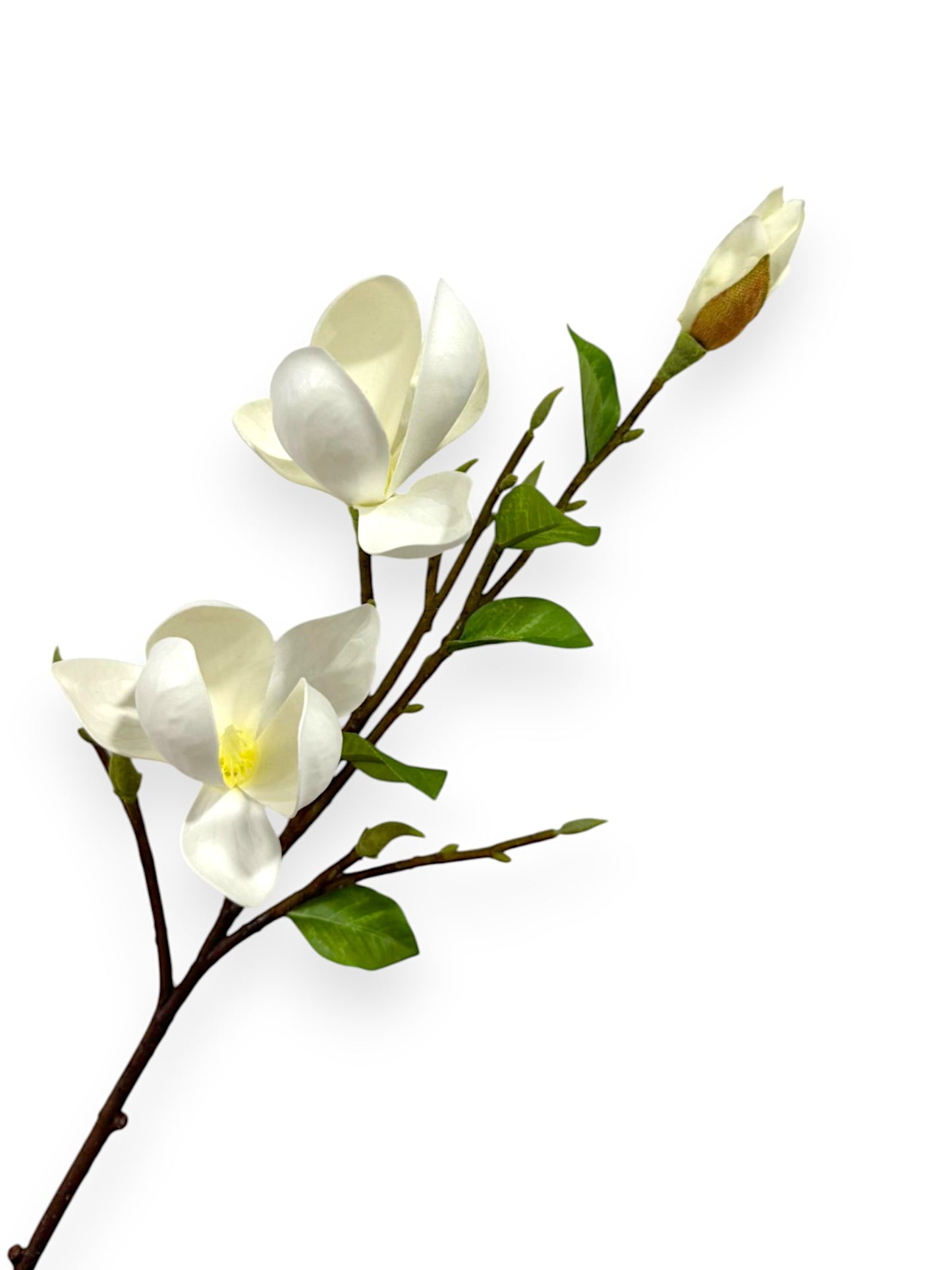 MAGNOLIA TREE PICK 24"