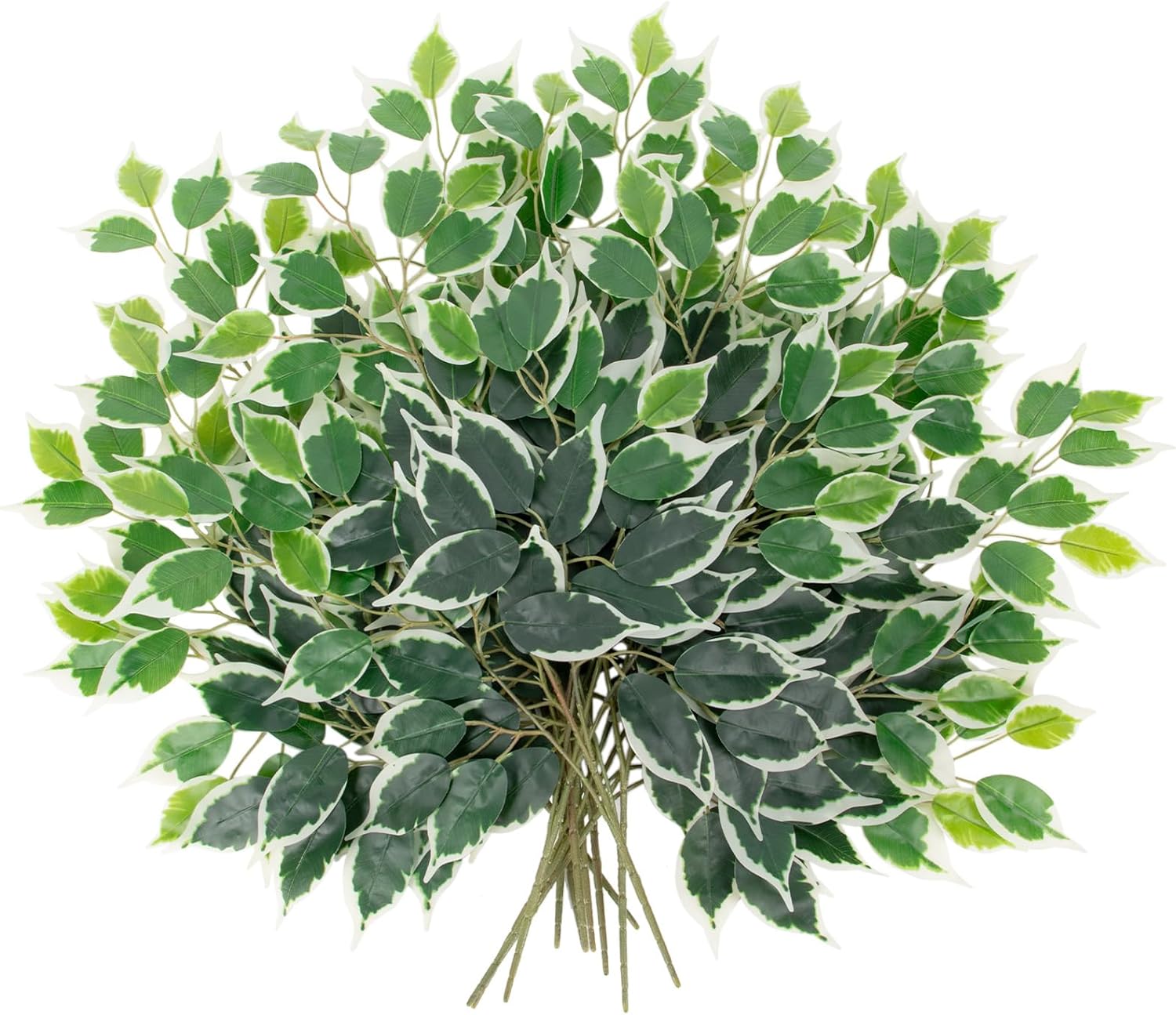 FICUS SPRAY 22" 12PCS
