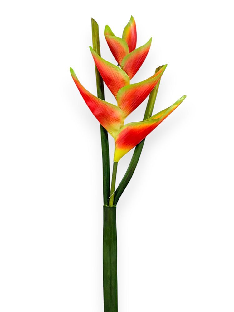 Heliconia Lobster Claw Spray 39"