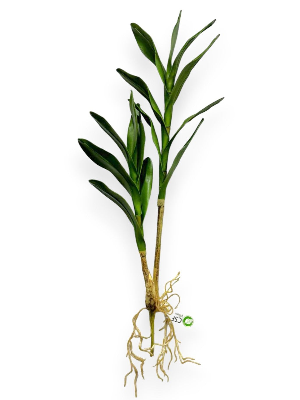 ORCHID CYMB.FOLIAGE 24"