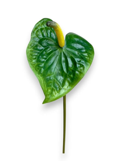 ANTHURIUM S 23"