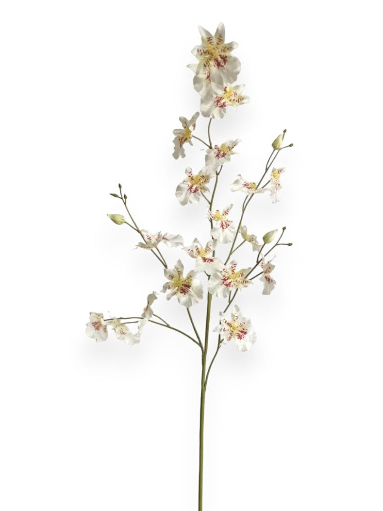 Orchid Dancing Spray 33"
