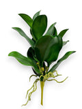 Phalaenopsis Orchid Foliage Spray 15"