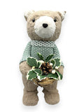 Bear with Green Sweater